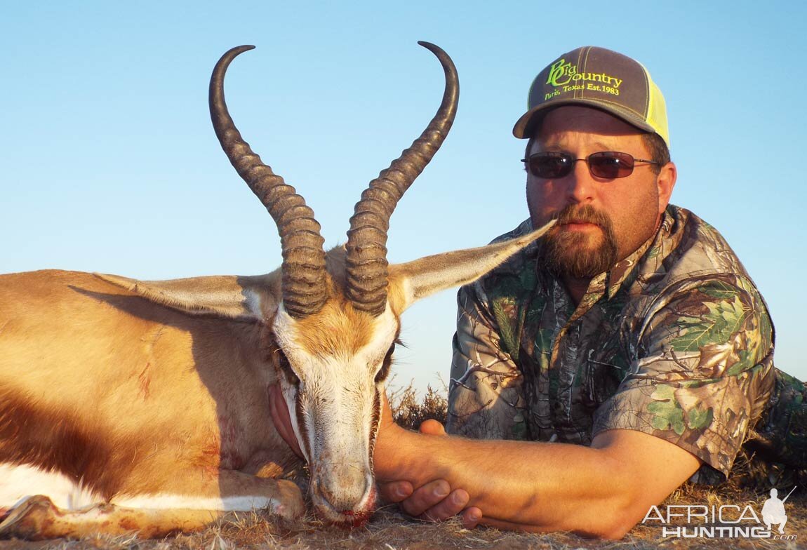 Springbuck Hunt South Africa