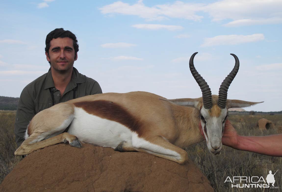 Springbuck Hunt South Africa