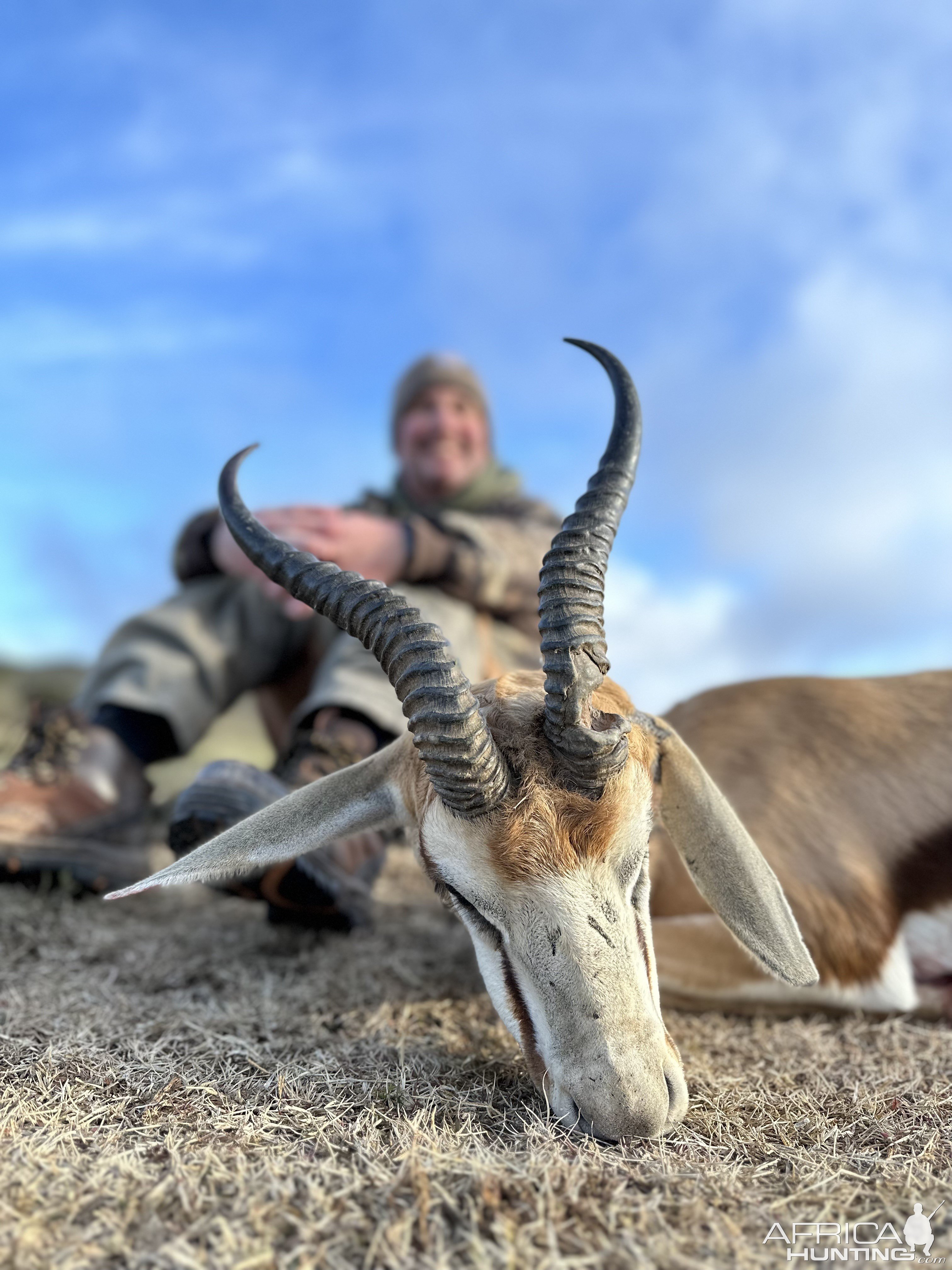 Springbuck Hunting Eastern Cape South Africa