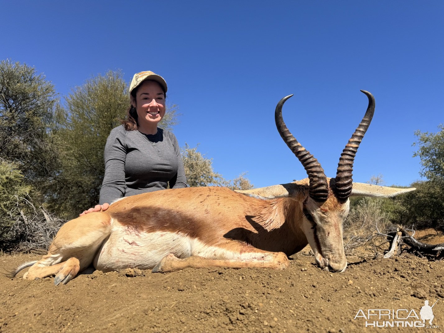 Springbuck Hunting Namibia