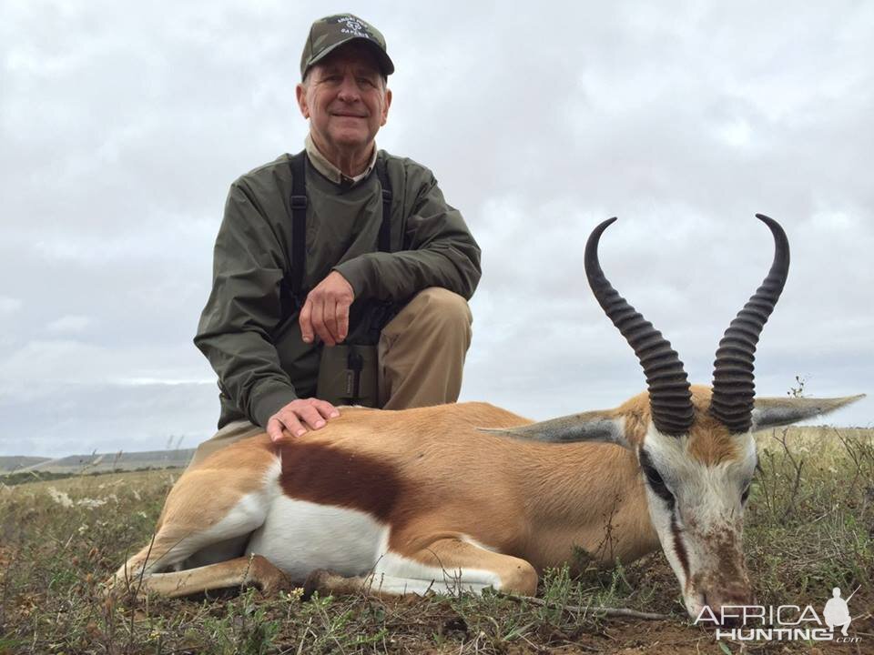 Springbuck Hunting South Africa