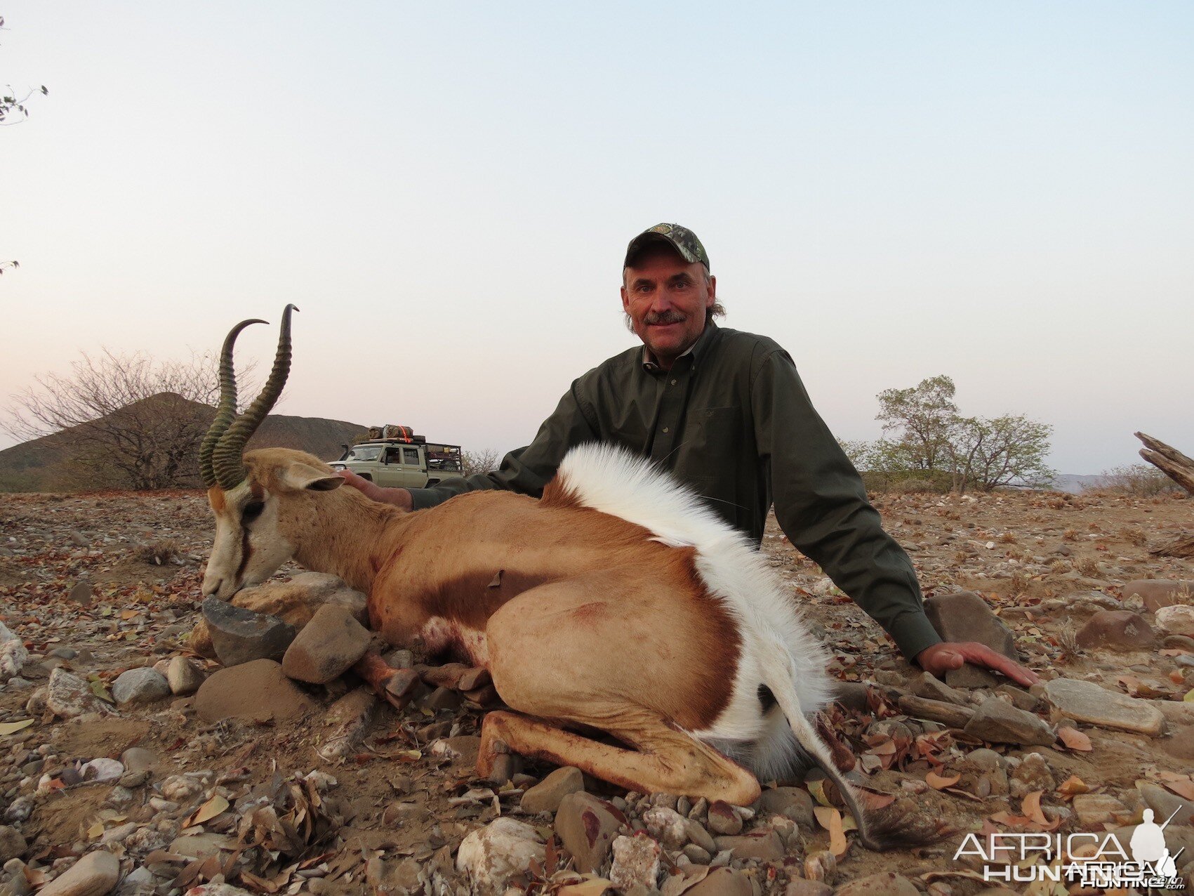 Springbuck - Namibia