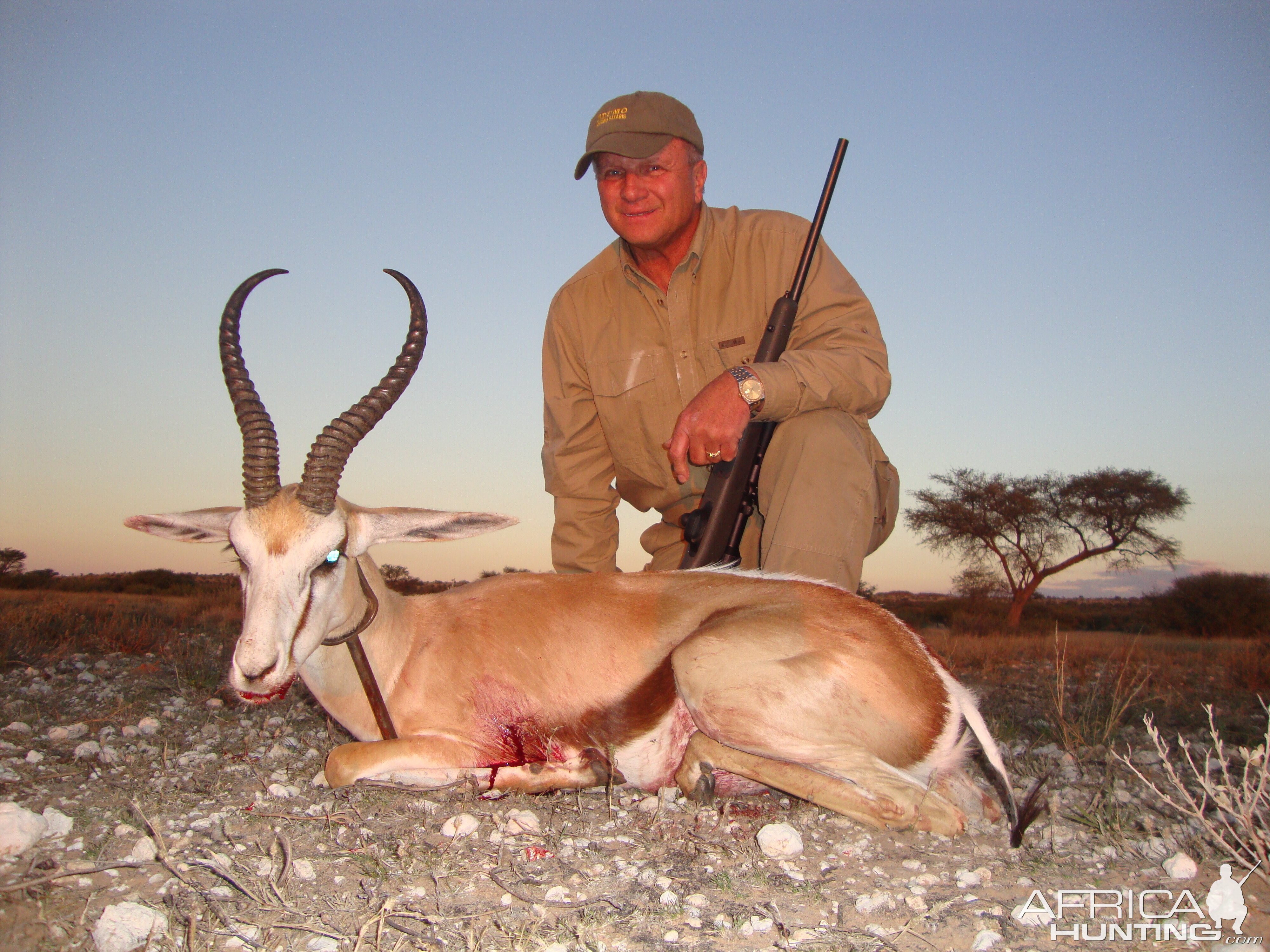 Springbuck with Kowas Hunting Safaris