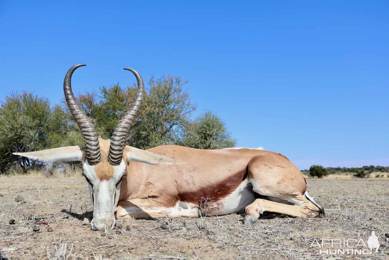 Springbuck With Zana Botes Safari