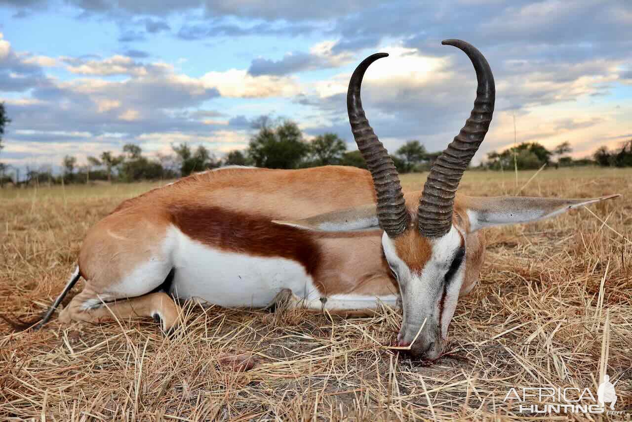 Springbuck with Zana Botes Safari