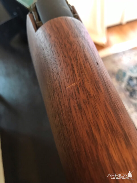 Springfield M1A Standard Rifle With Walnut Stock