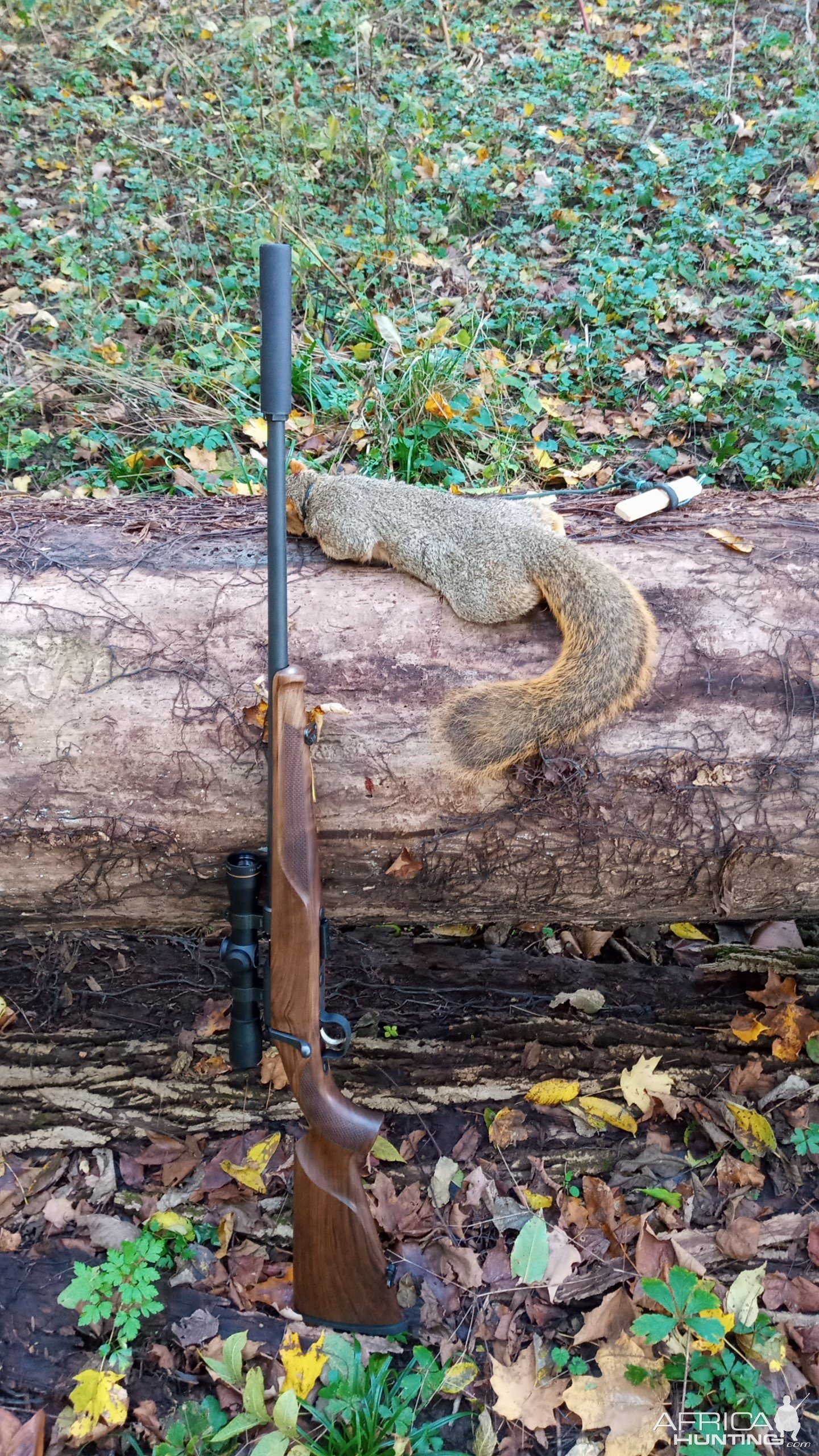 Squirrel Hunting