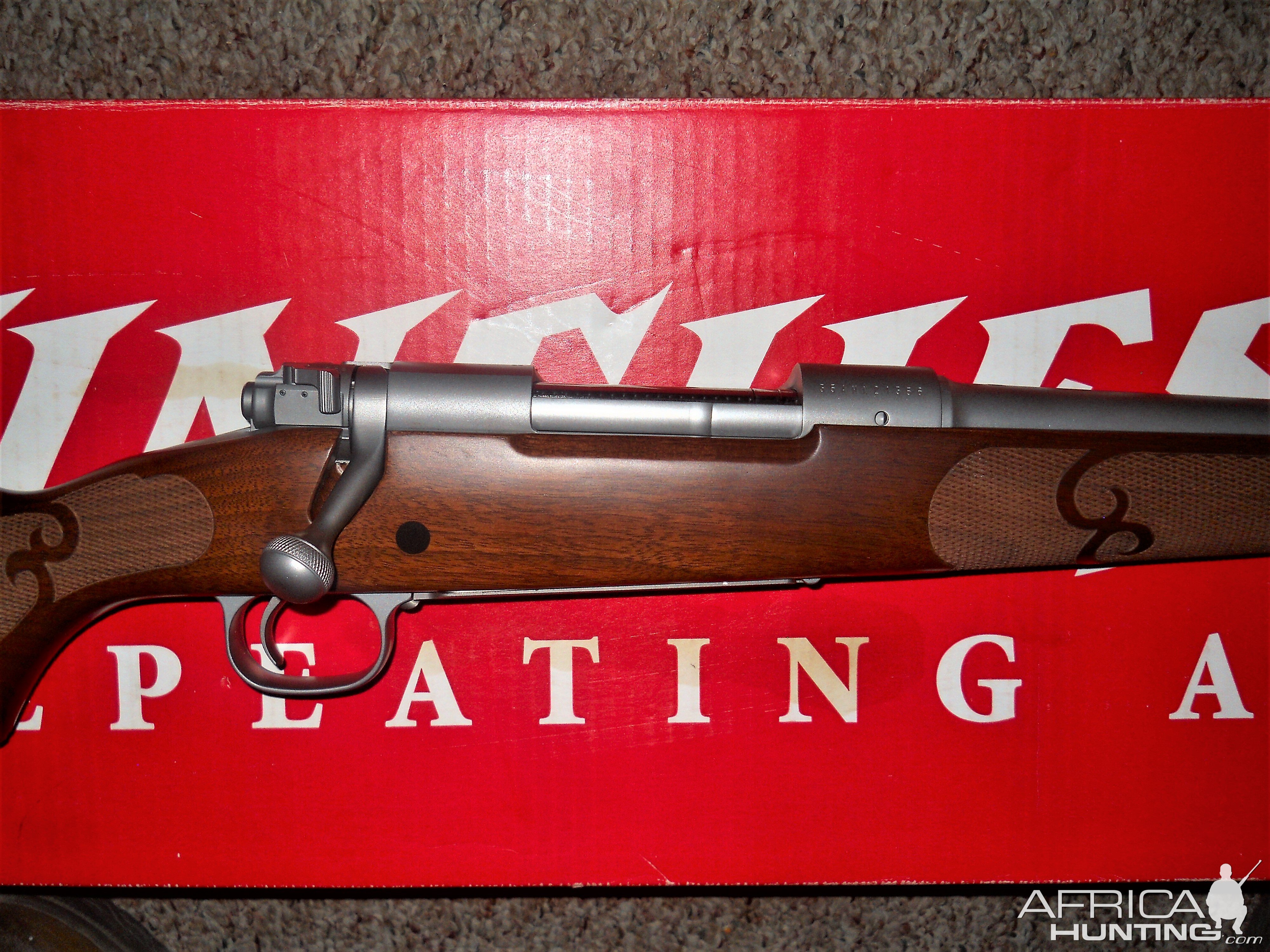 SS walnut .270 Rifle