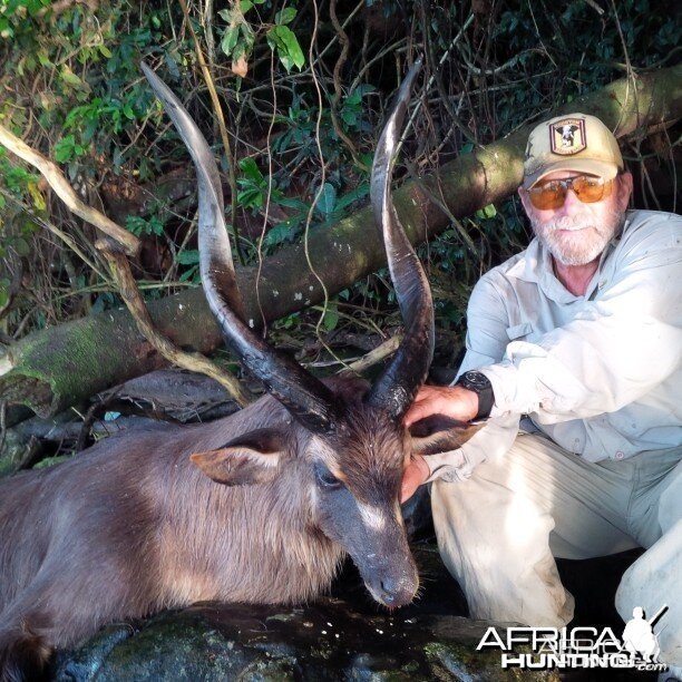 Ssese Island Sitatunga taken in Uganda