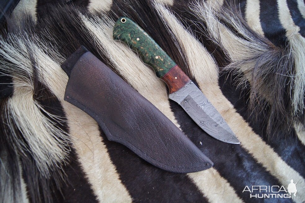 Stabilized curly grown birch wood and Lace wood Knife with Cape buffalo leather Sheath