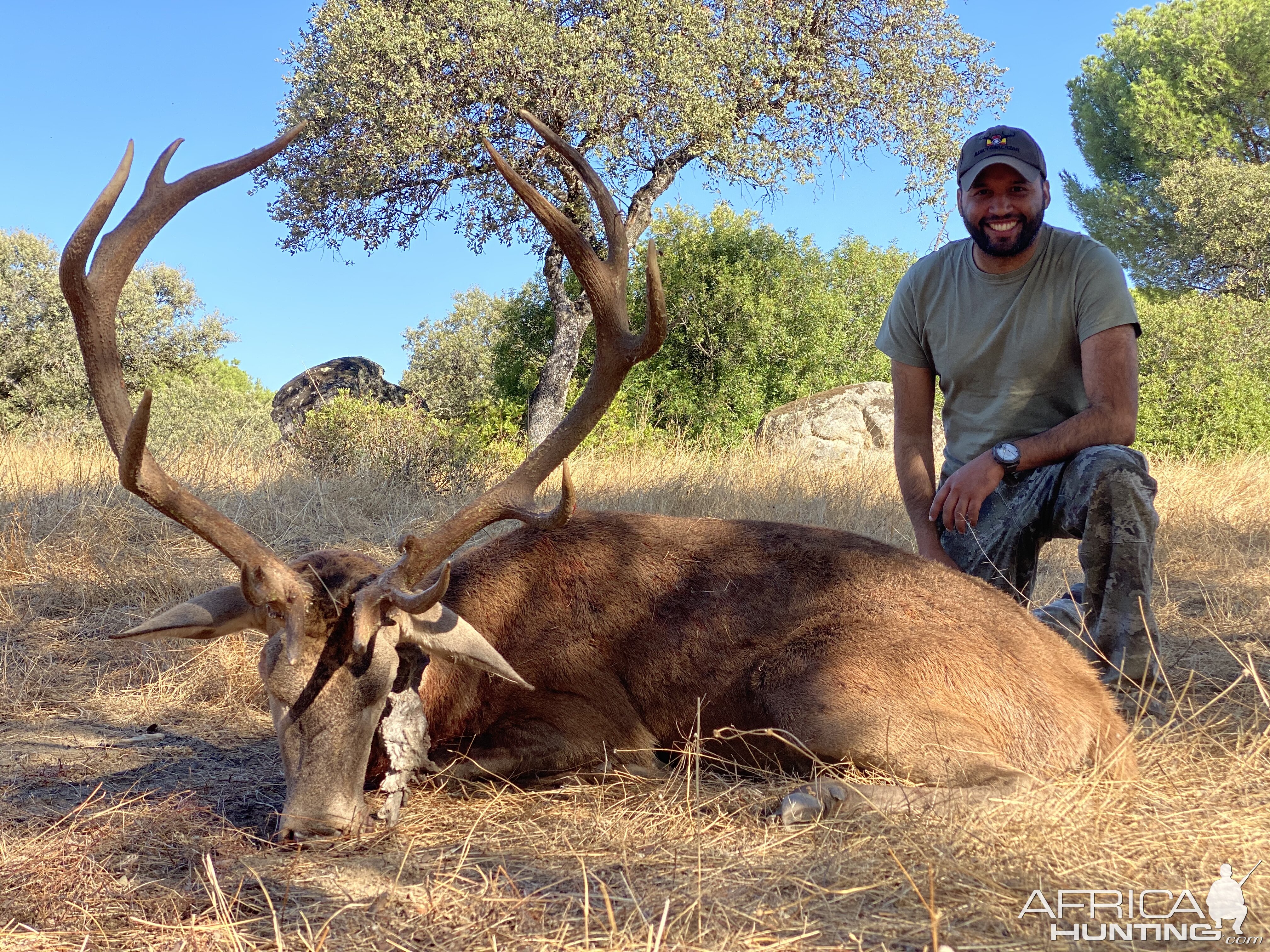 Stag Hunt in Spain