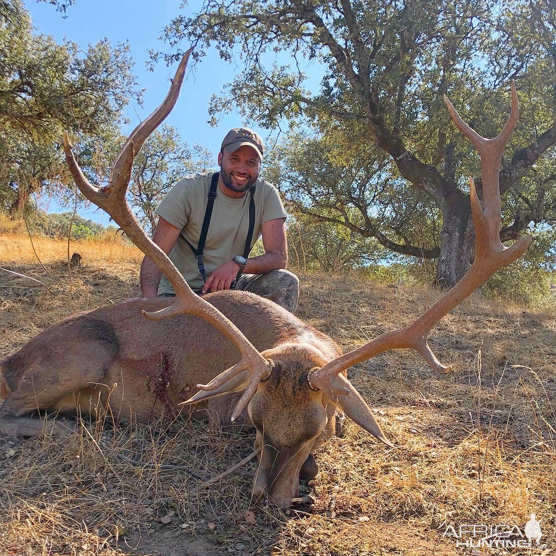 Stag Hunt in Spain