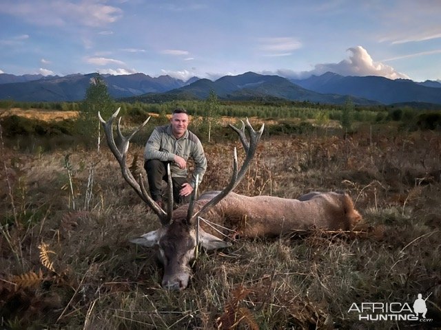 Stag Hunt Romania