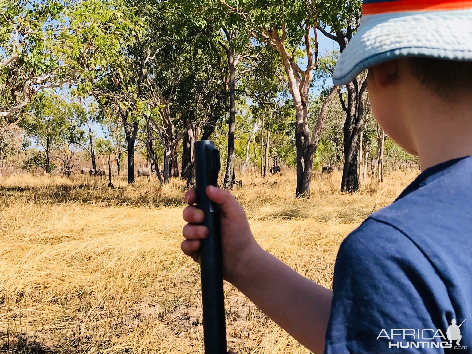 Stalking Asiatic Water Buffalo With My Son