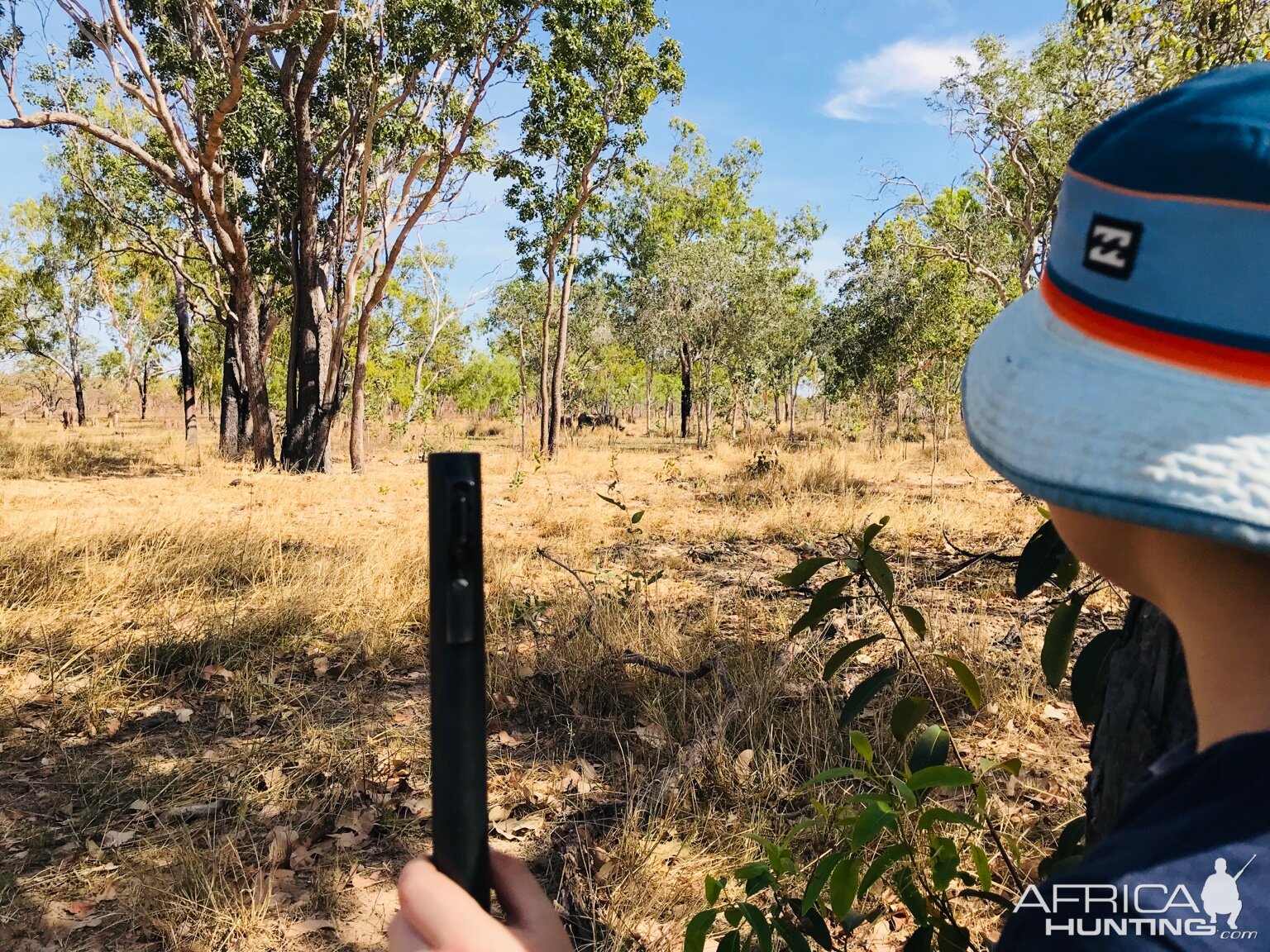 Stalking Asiatic Water Buffalo With My Son