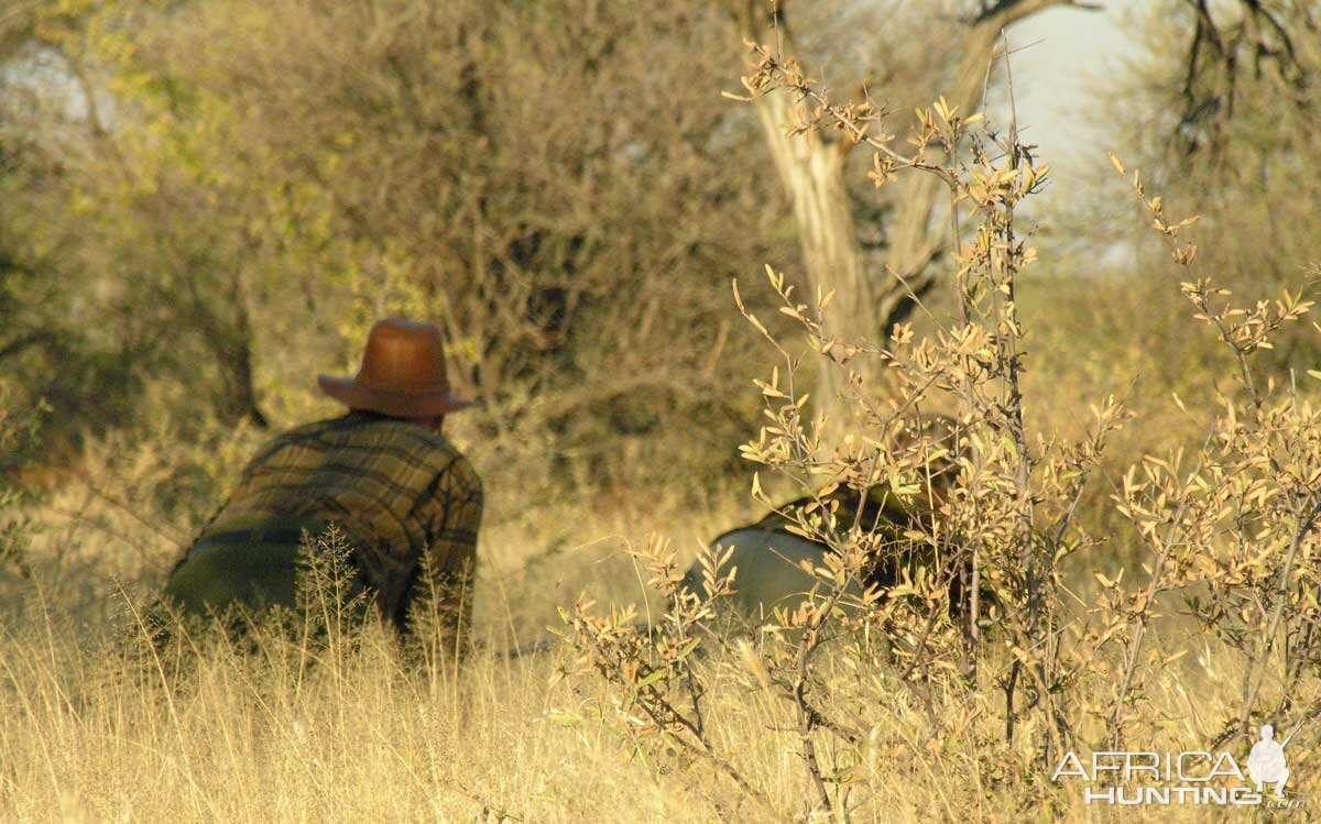 Stalking for a Red Hartebeast, Namibia