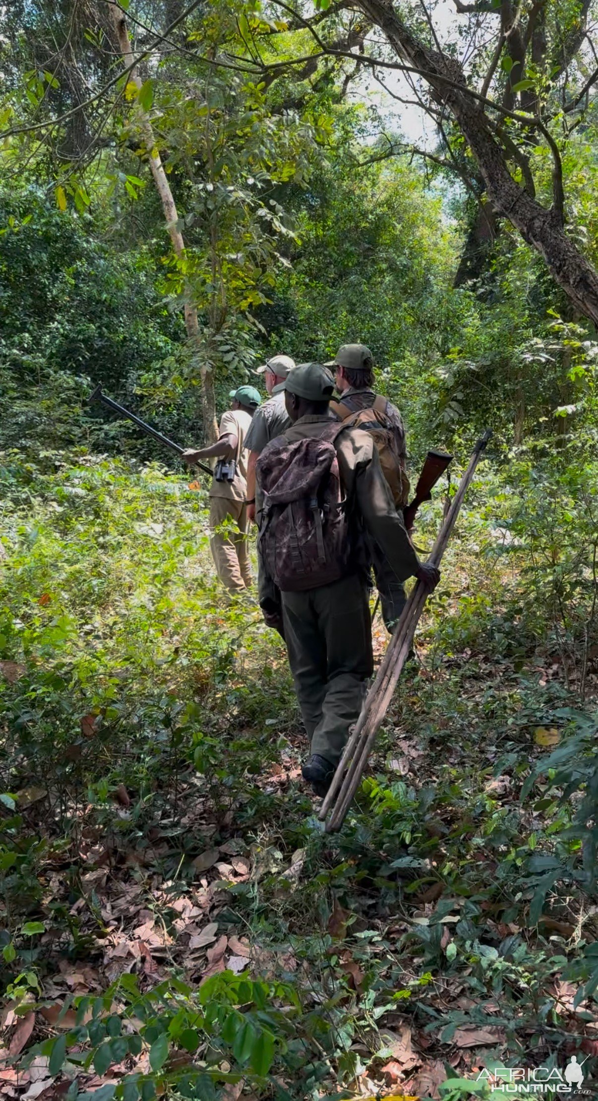 Stalking In Forest Mozambique