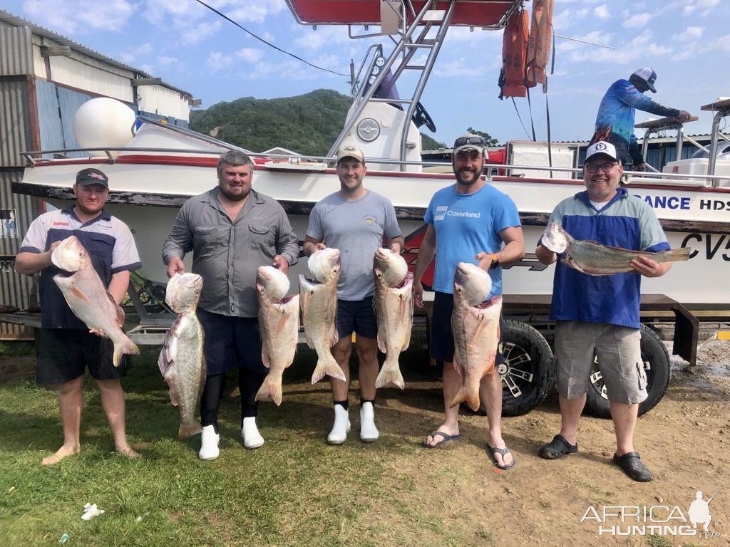 Steebra & Kabeljou (Kob) Fishing South Africa