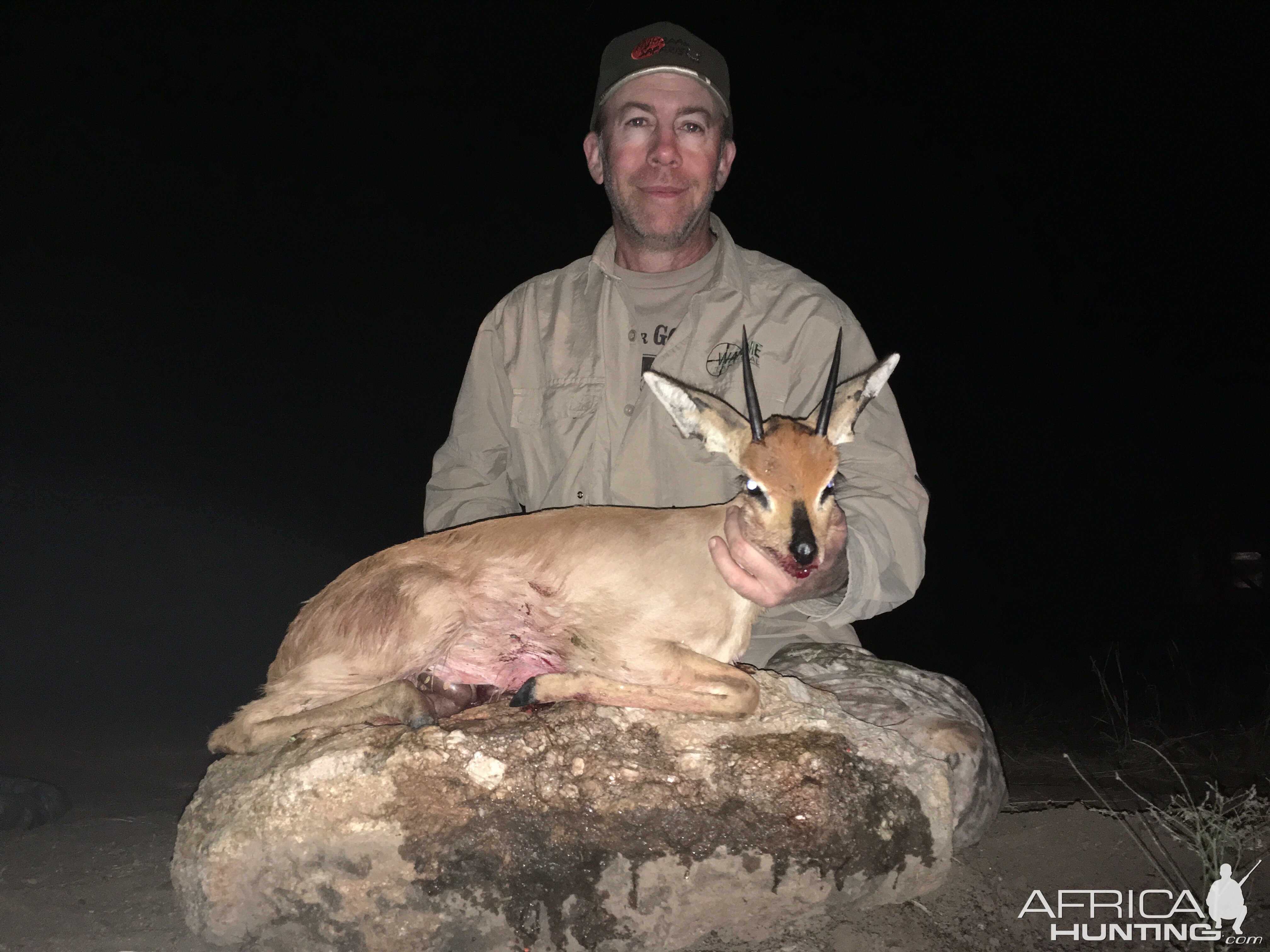 Steenbok 2017