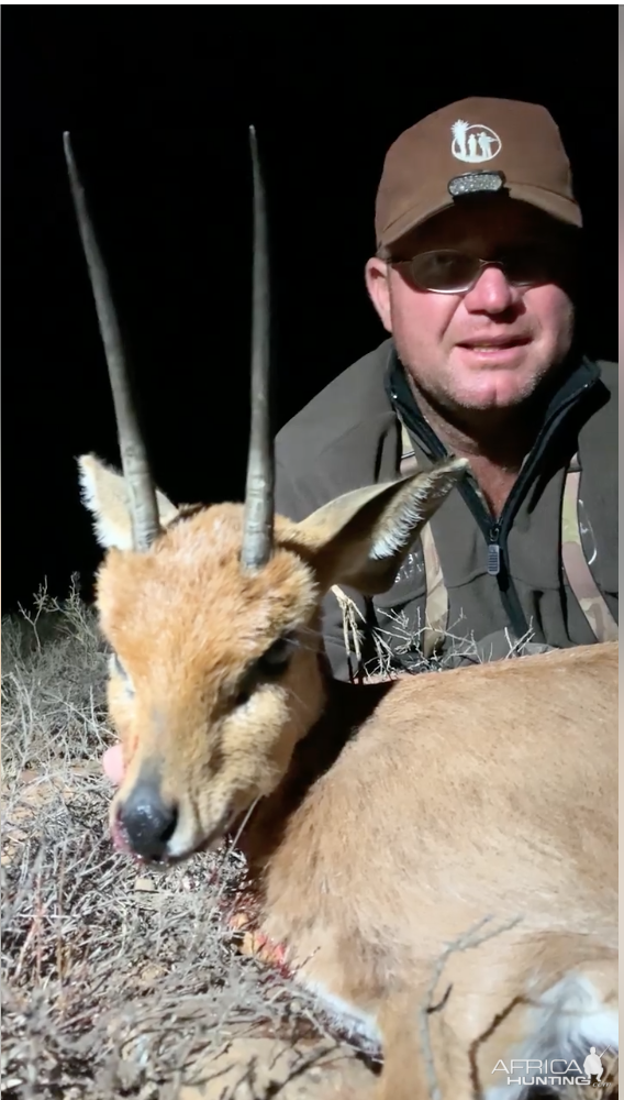 Steenbok 6.5+ inches