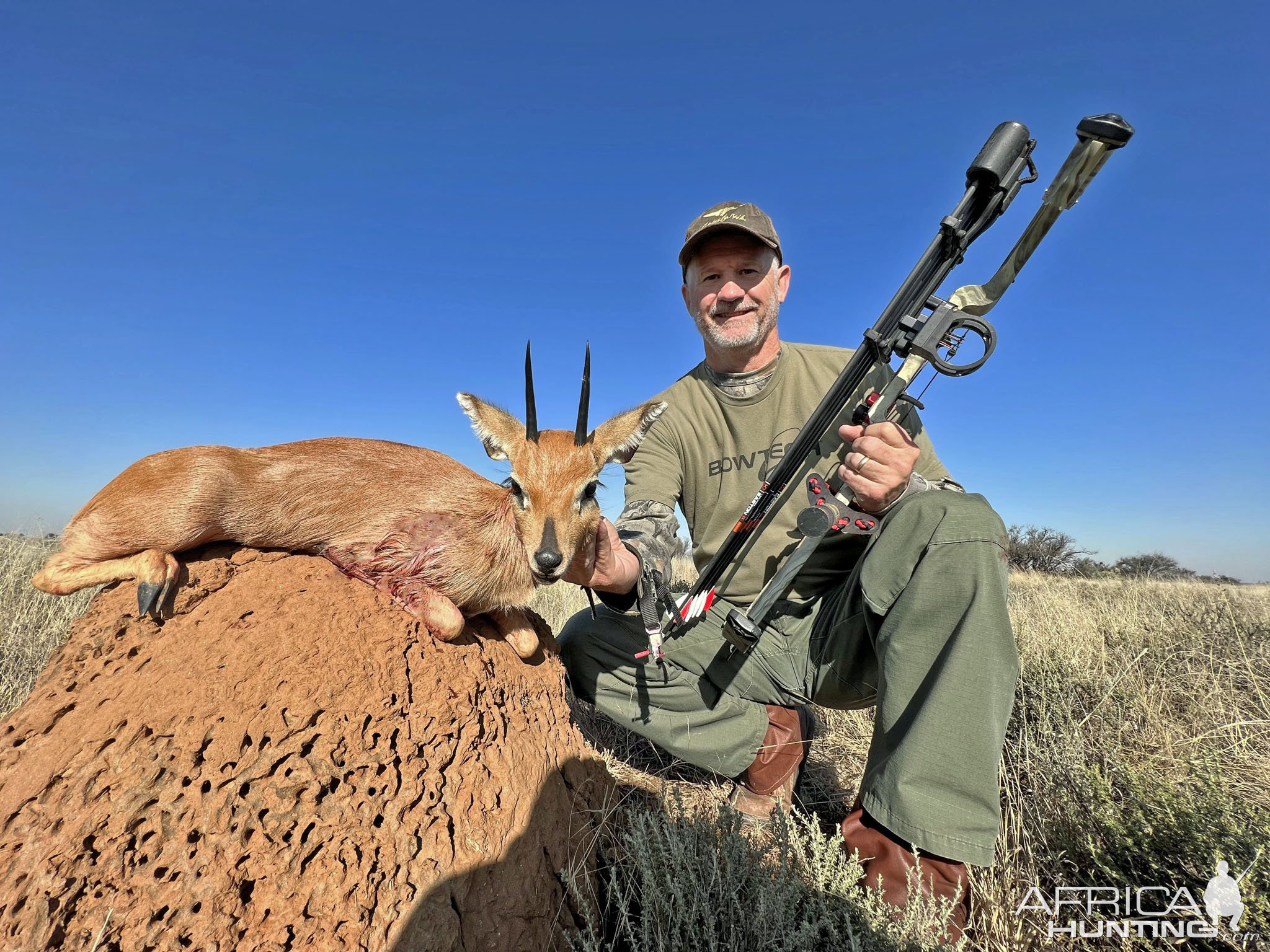 Steenbok Bow Hunt South Africa