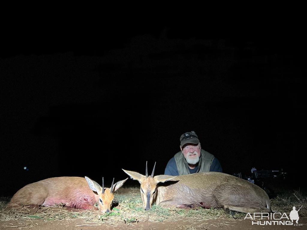 Steenbok & Grey Duiker Crossbow Hunt South Africa