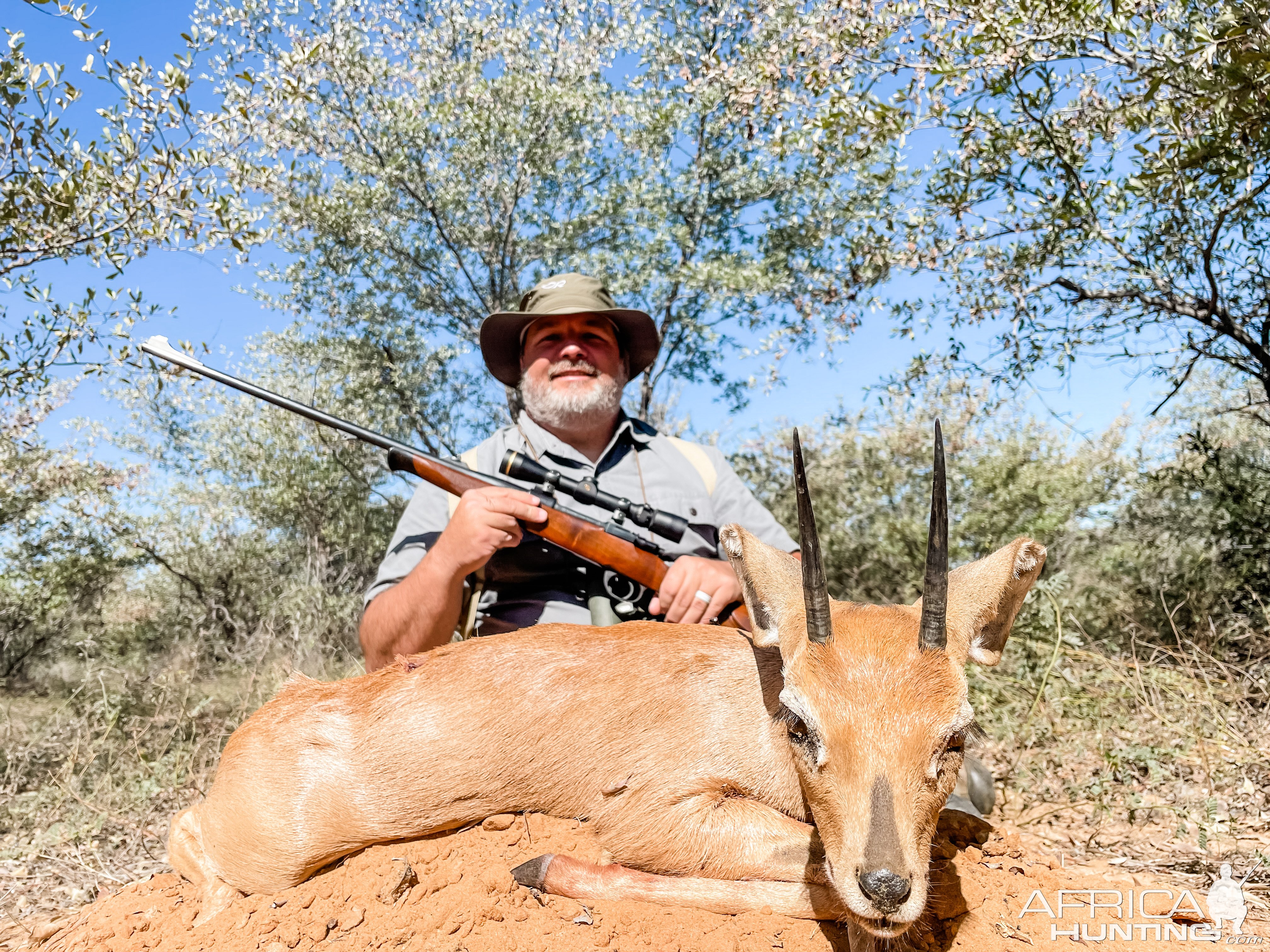 Steenbok Hunt Botswana