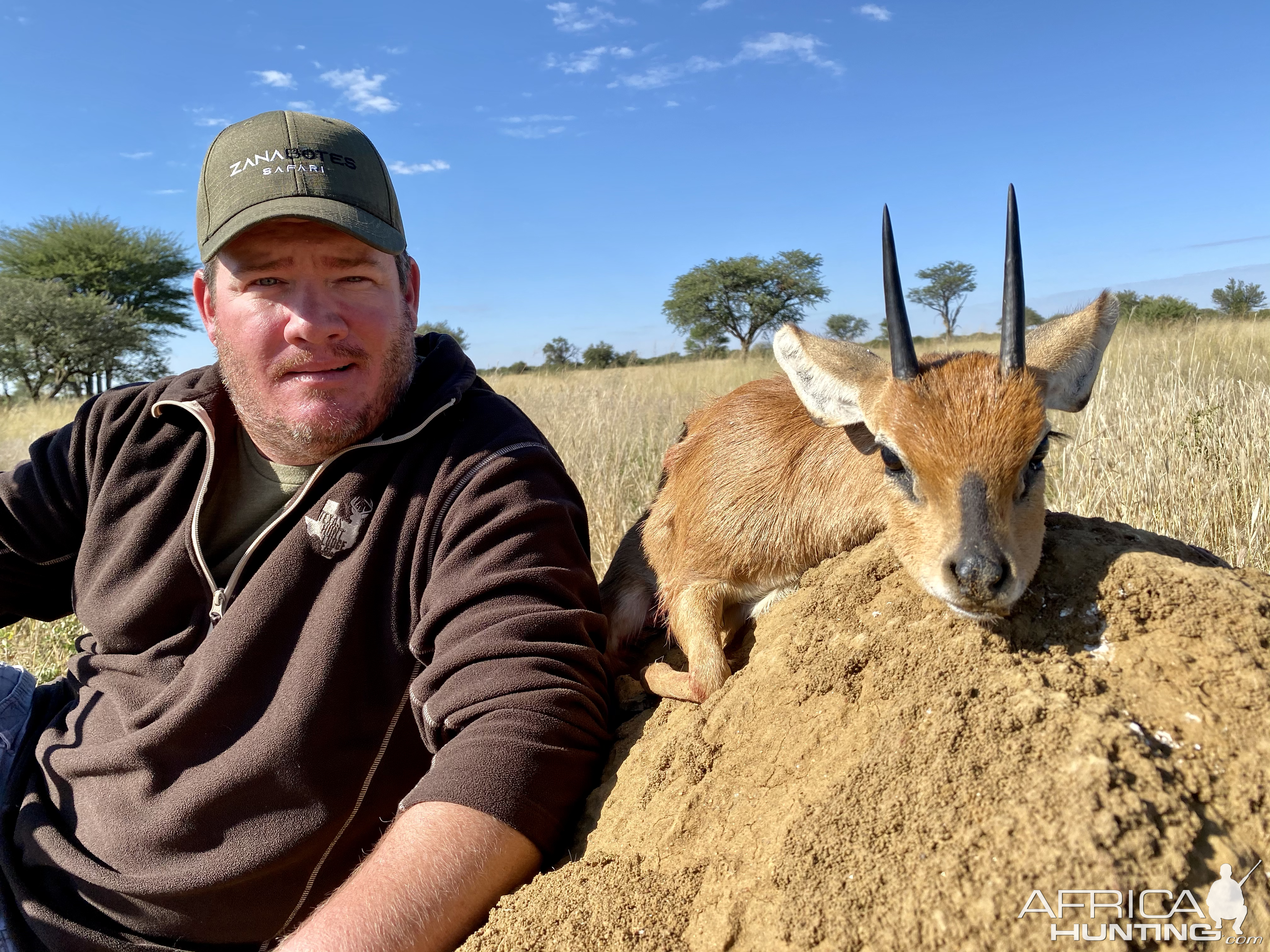 Steenbok Hunt Namibia