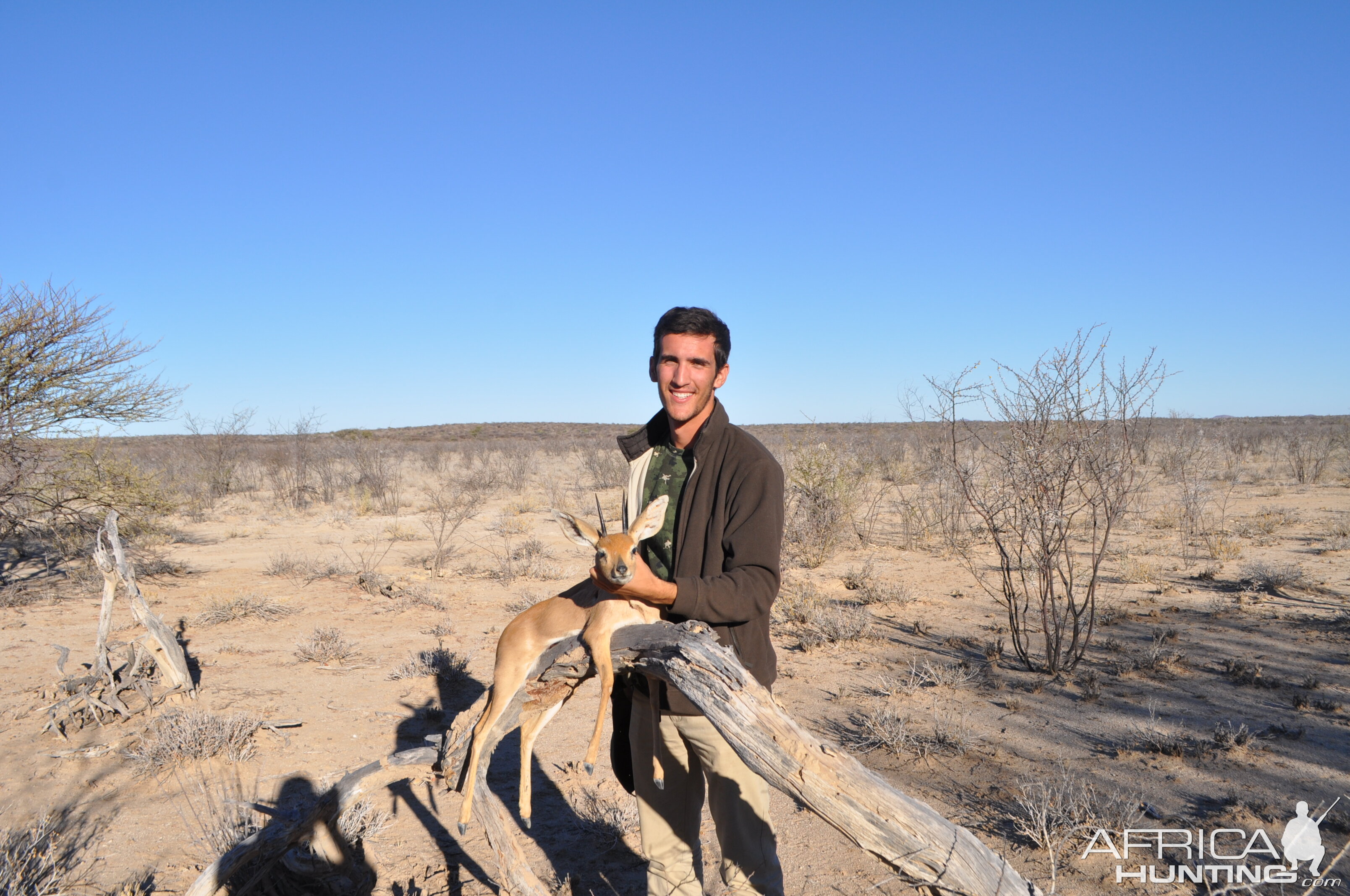 Steenbok Hunt Namibia