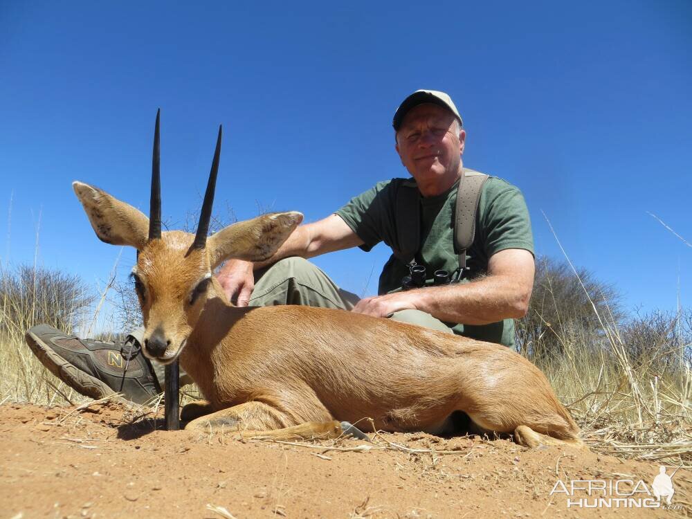 Steenbok Hunt Namibia