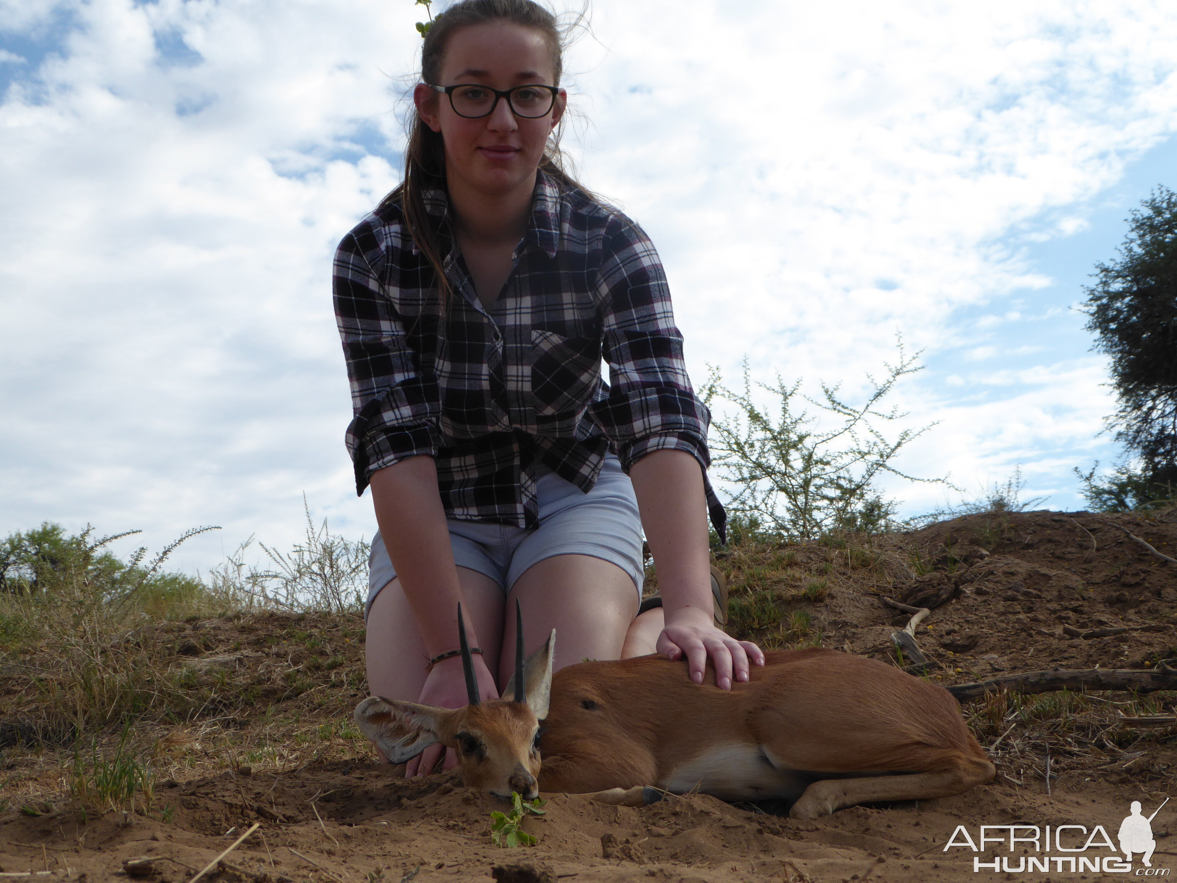 Steenbok Hunt Namibia