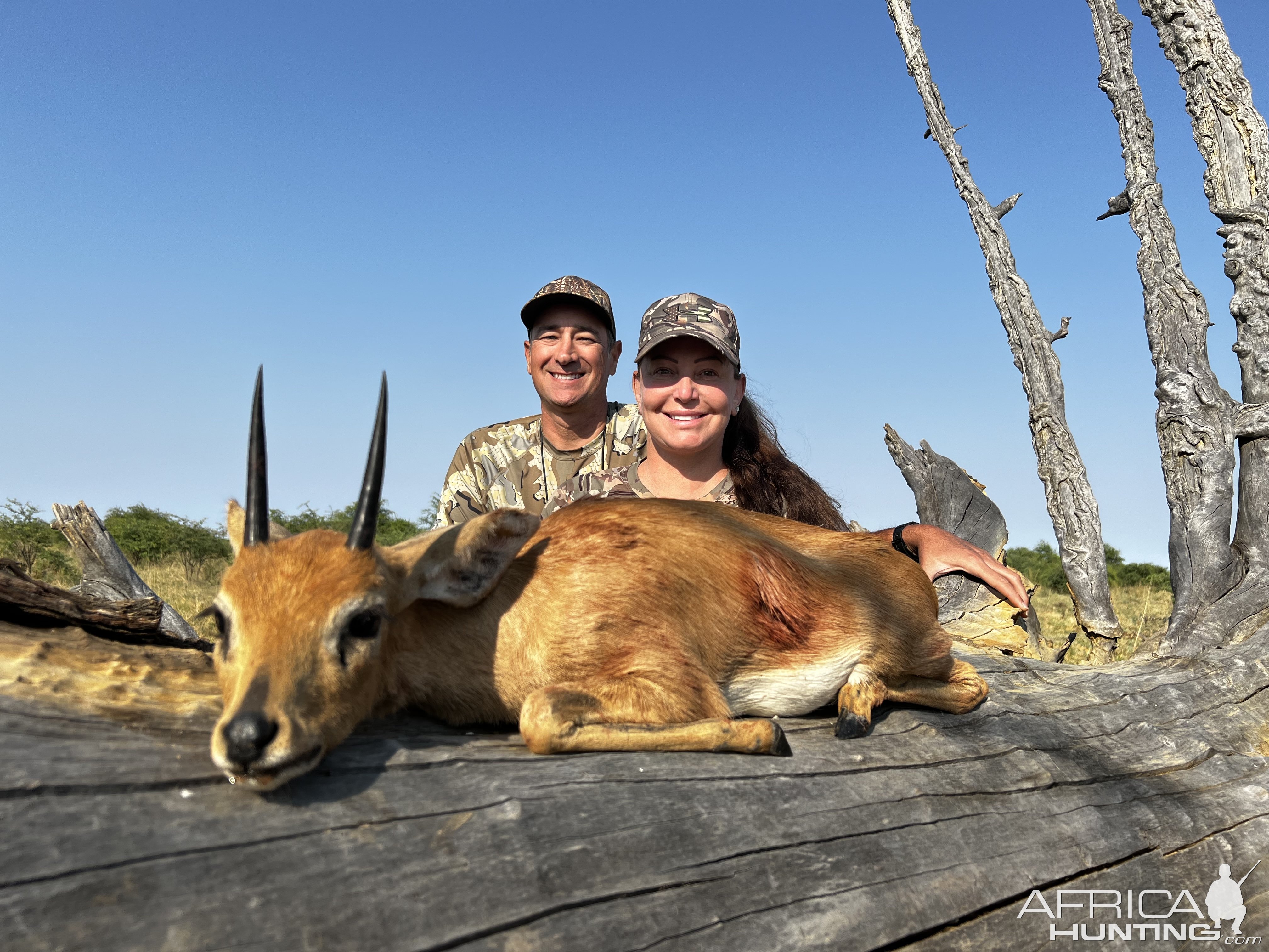 Steenbok Hunt South Africa