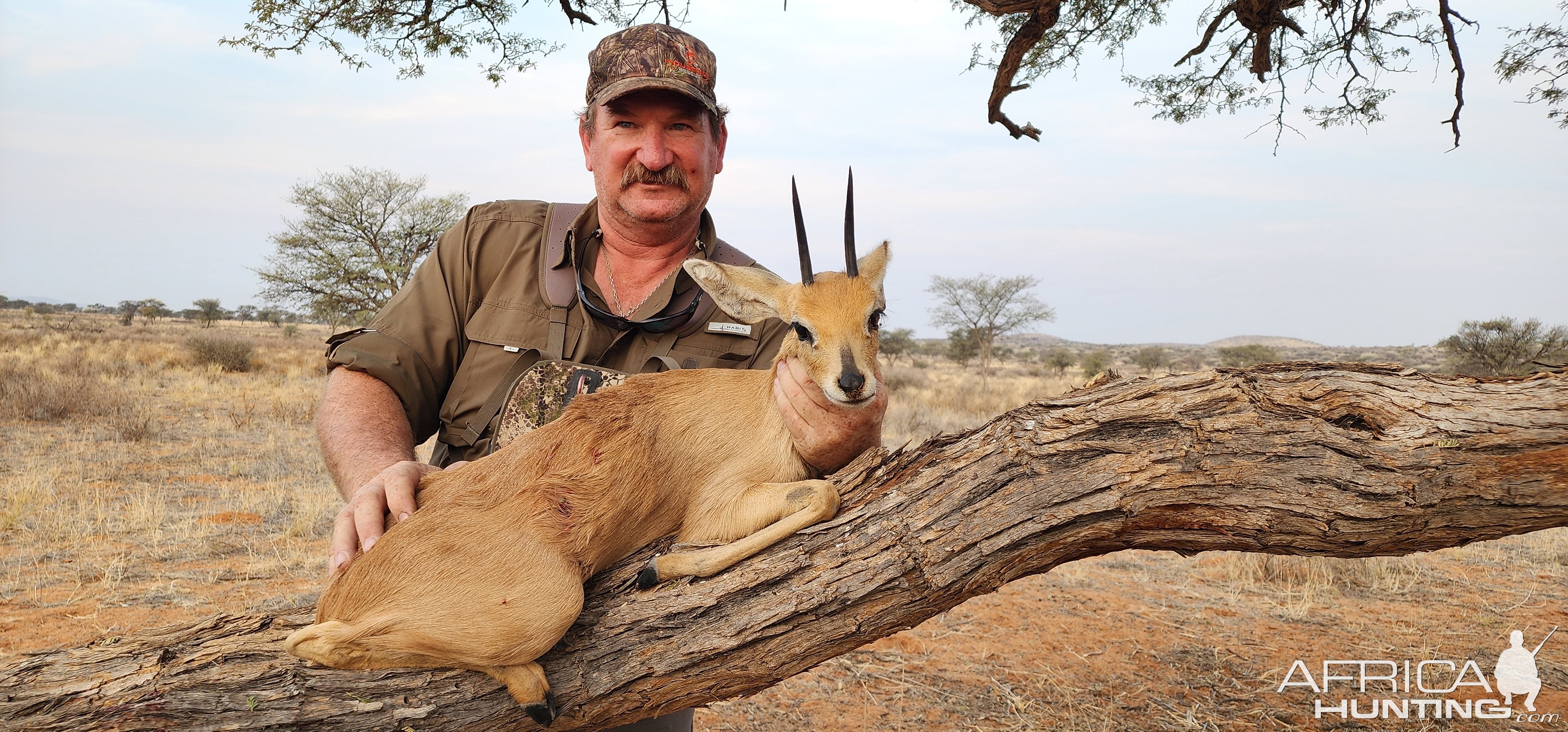 Steenbok Hunt South Africa