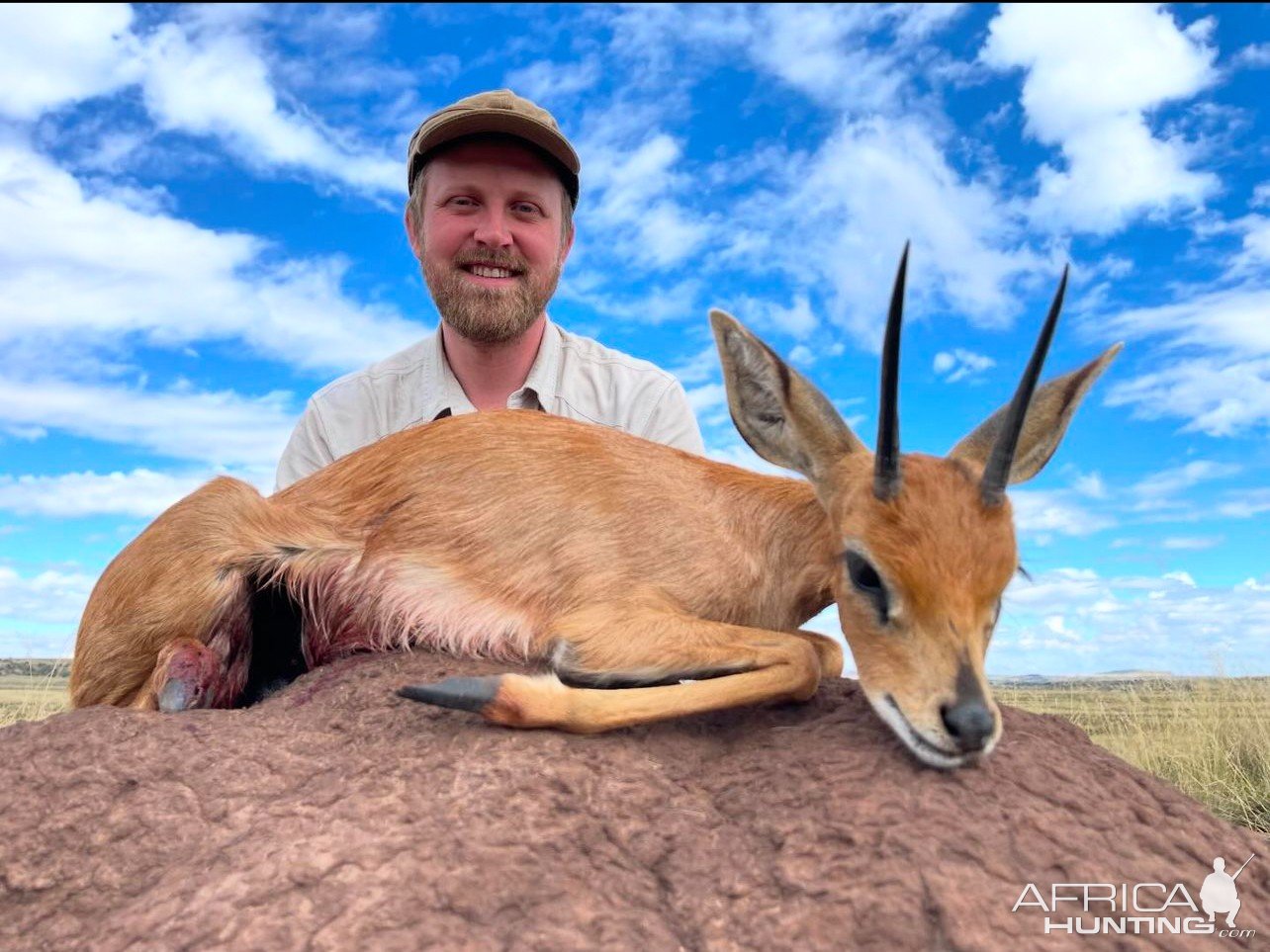 Steenbok Hunt South Africa