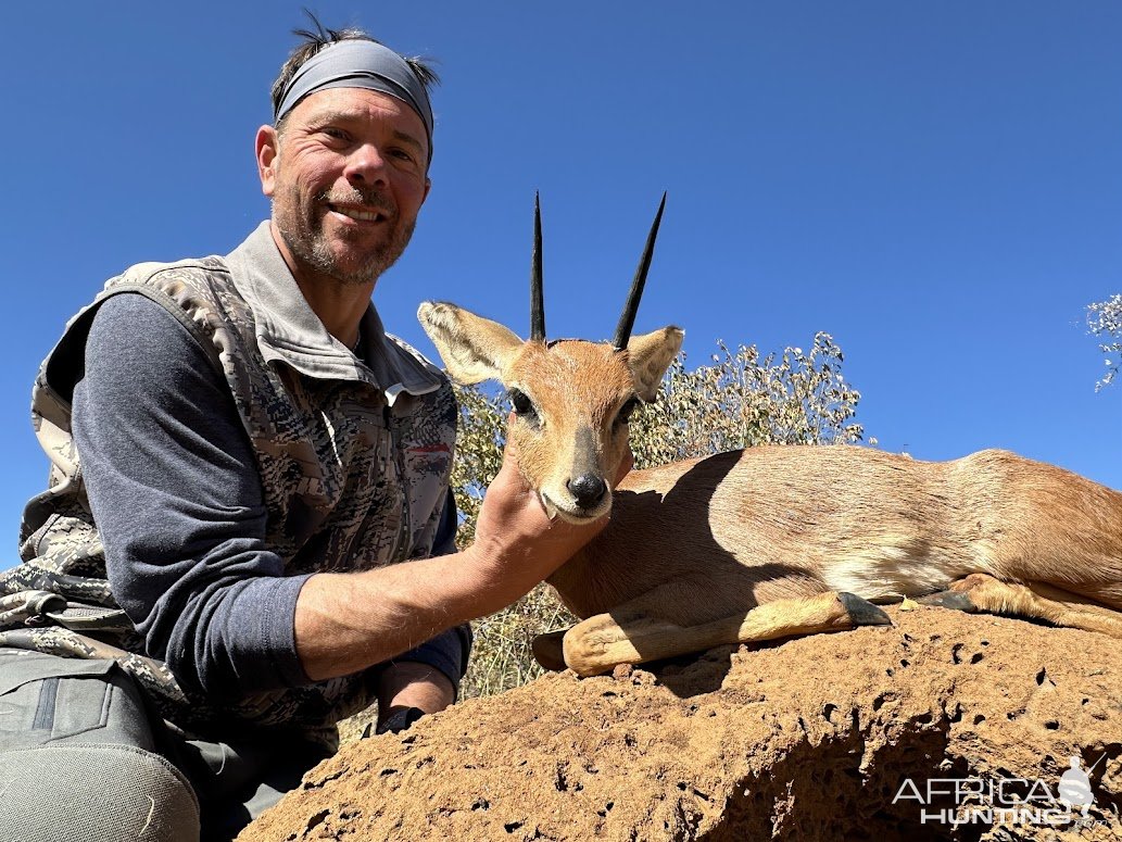 Steenbok Hunt South Africa