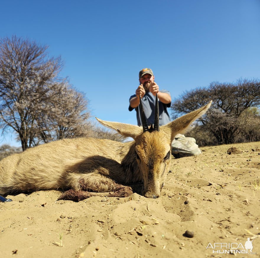 Steenbok Hunt South Africa