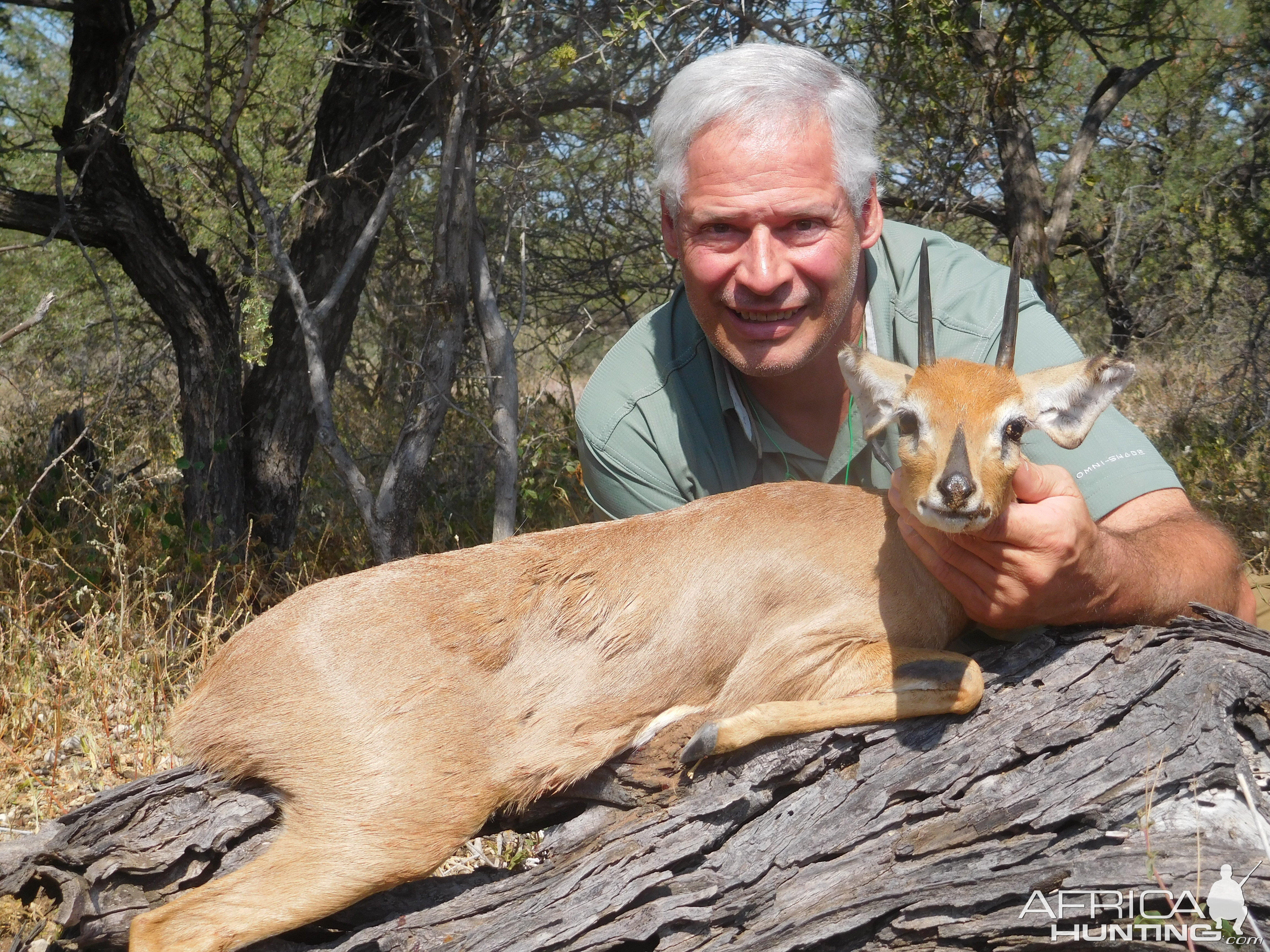 Steenbok Hunt South Africa