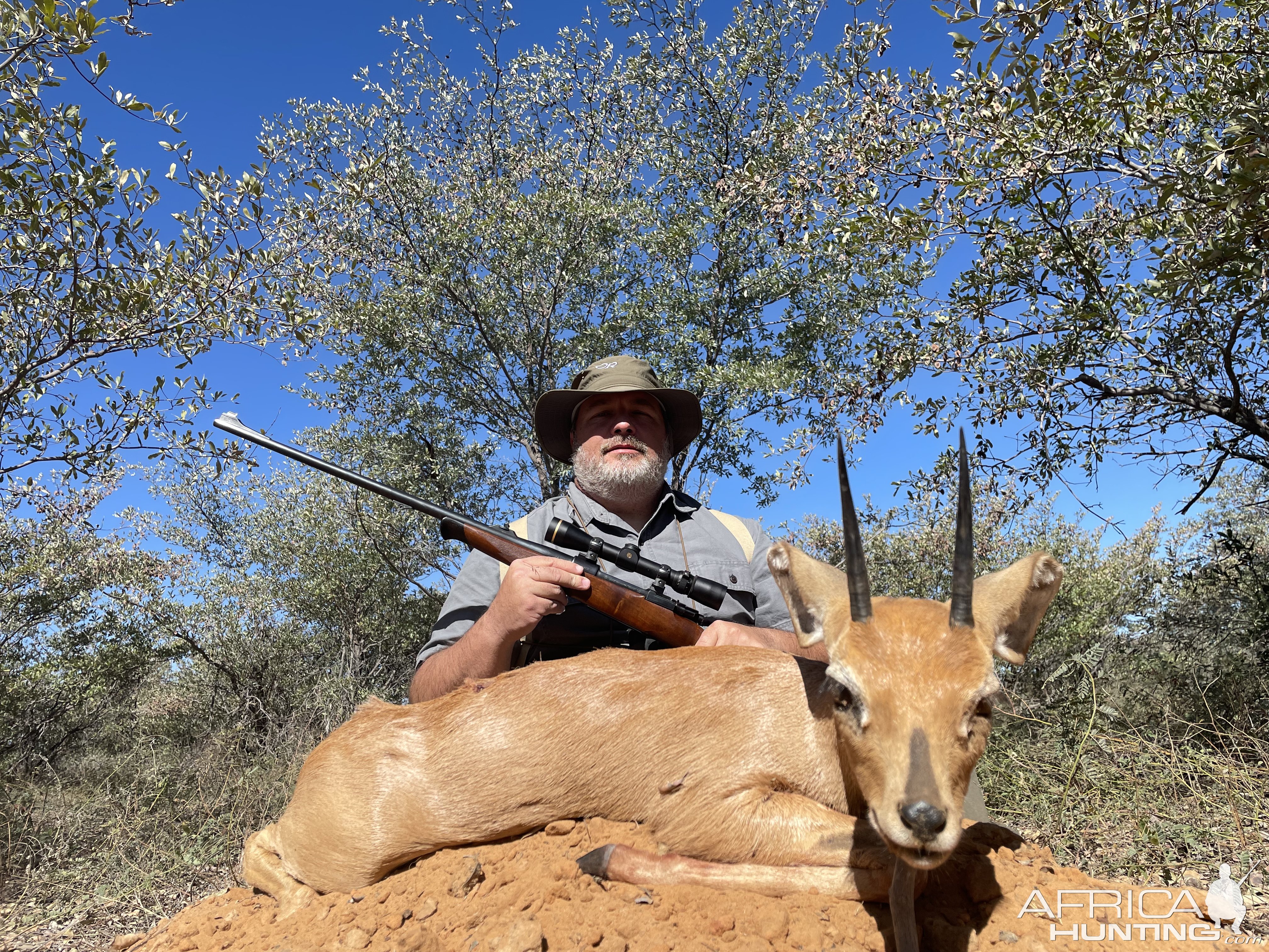 Steenbok Hunting Botswana