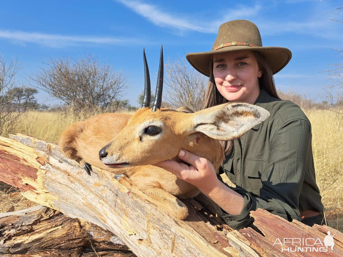 Steenbok Hunting Kalahari South Africa