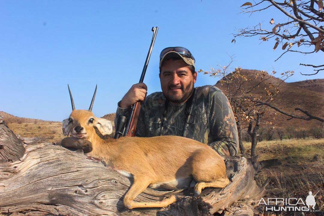 Steenbok Hunting Namibia