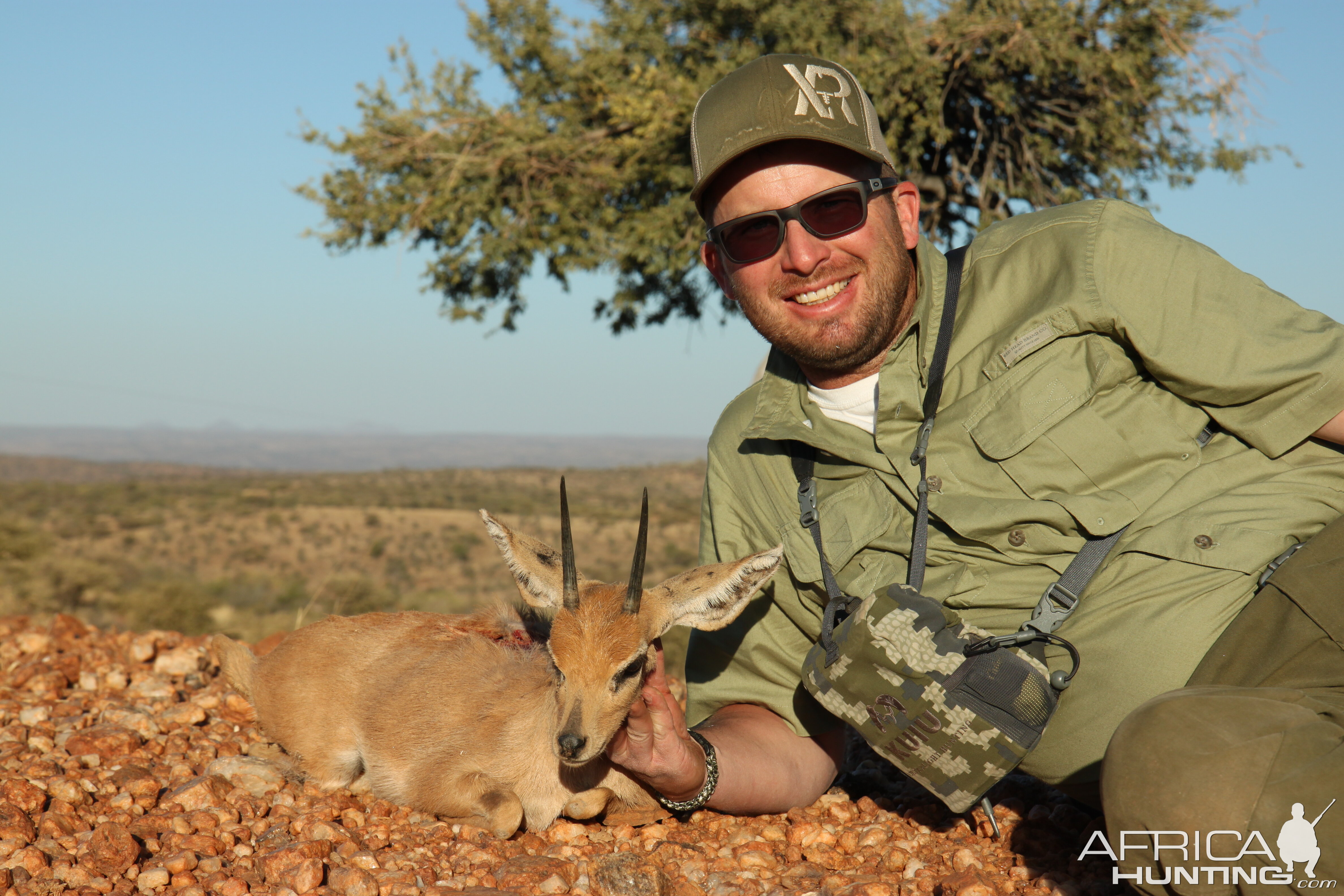 Steenbok Hunting Namibia