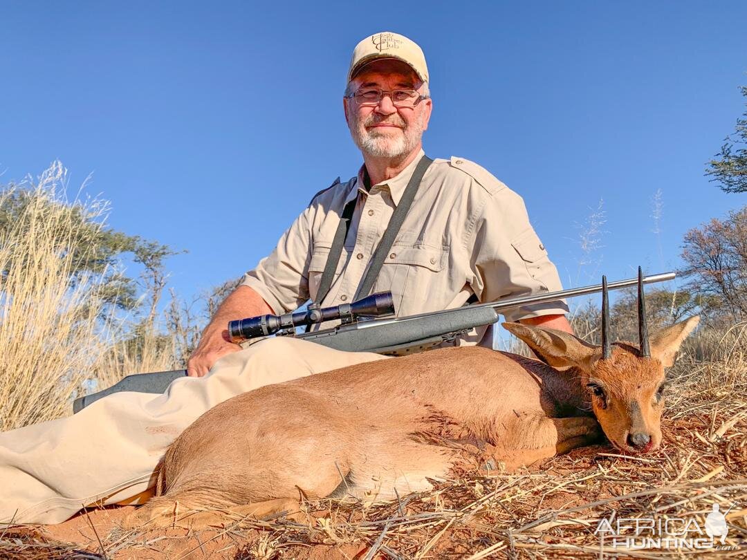 Steenbok Hunting Namibia