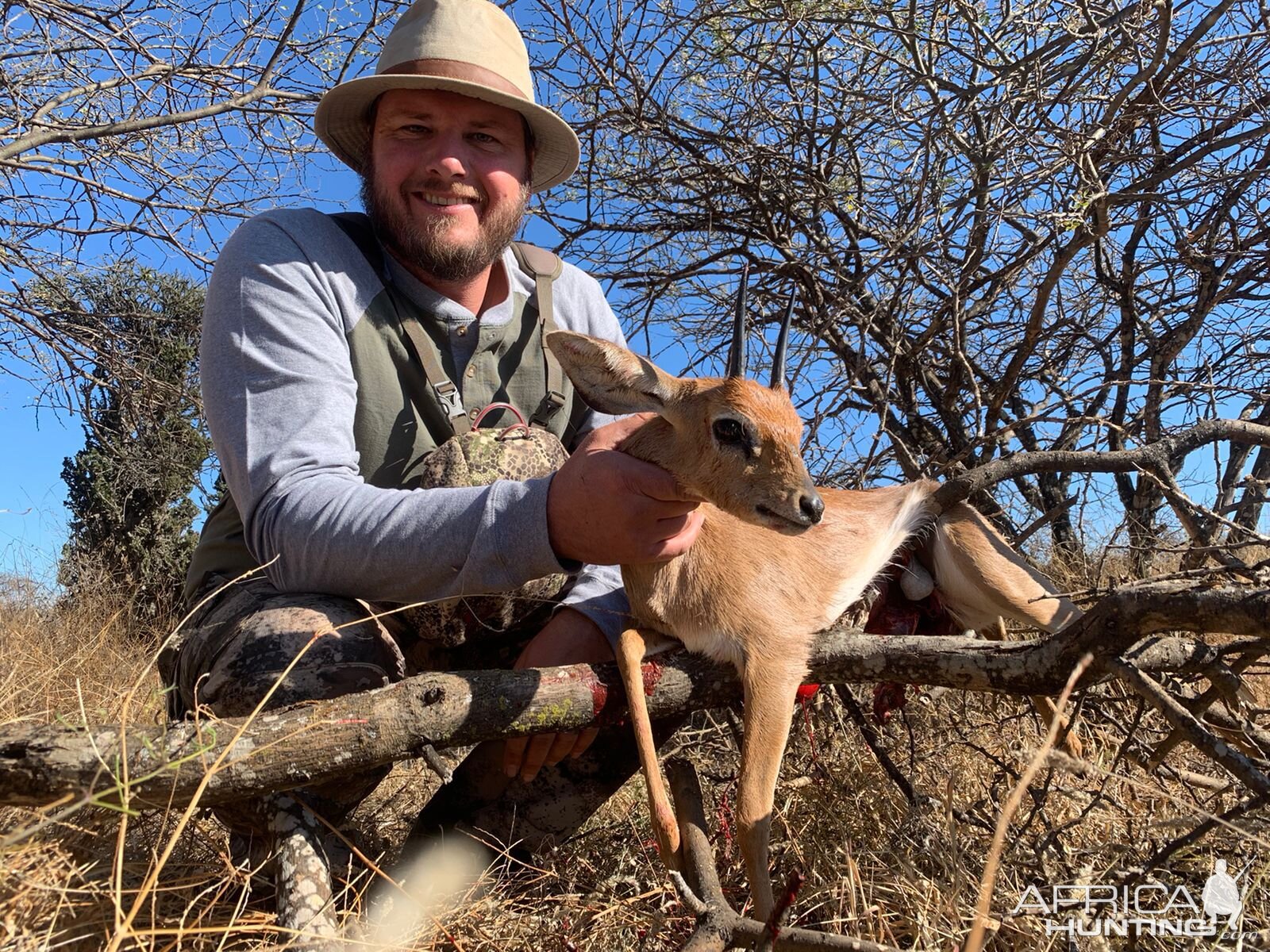 Steenbok Hunting South Africa