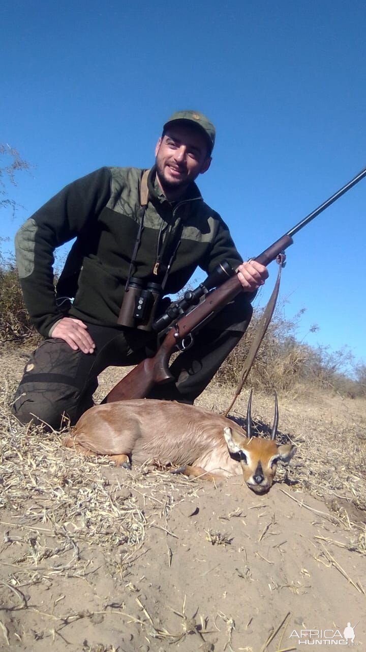 Steenbok Hunting South Africa