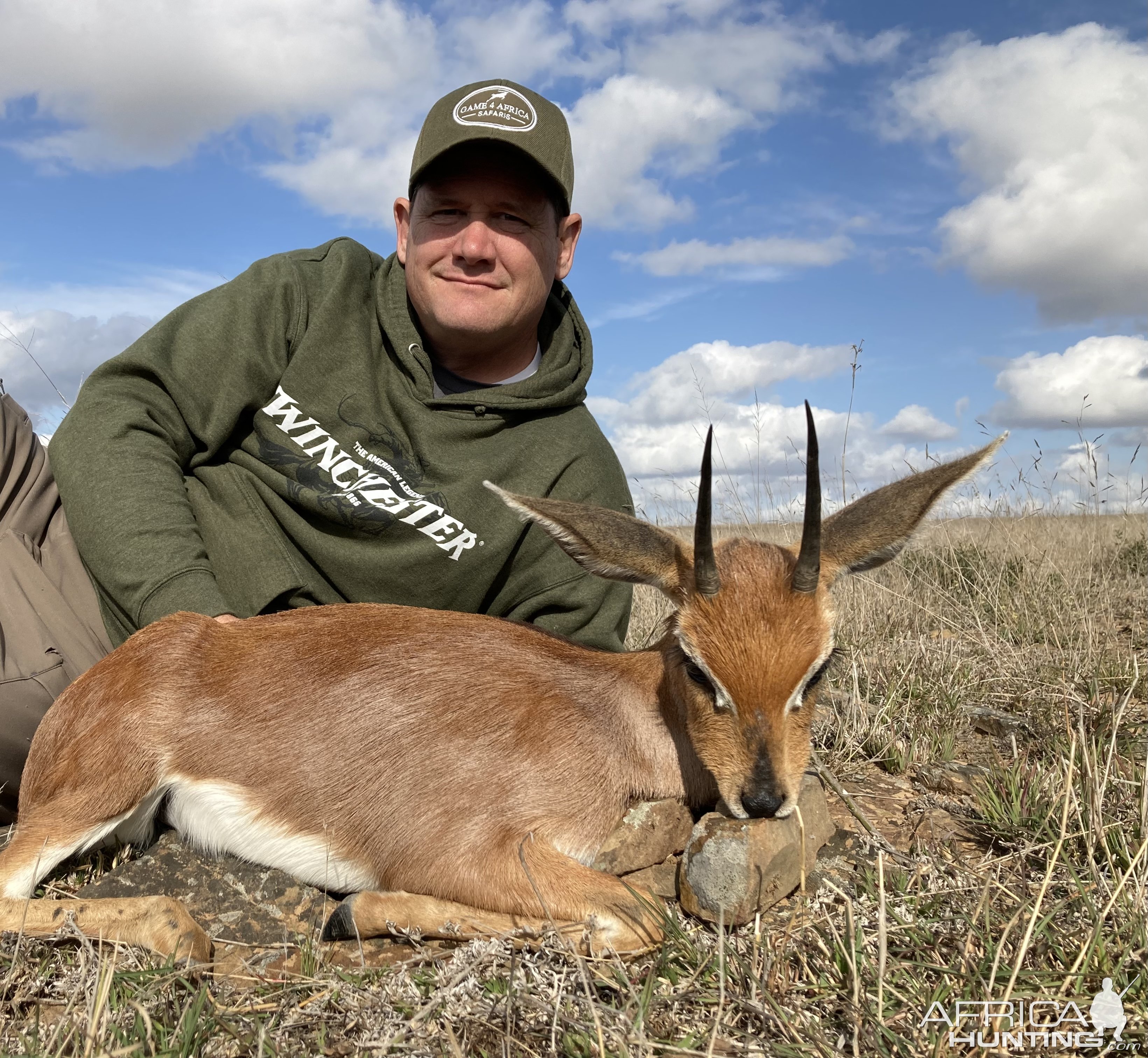 Steenbok Hunting South Africa