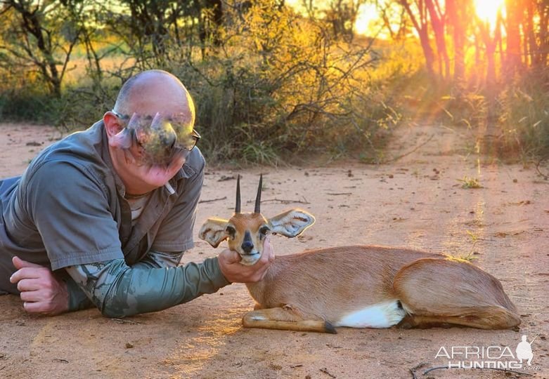 Steenbok Hunting South Africa