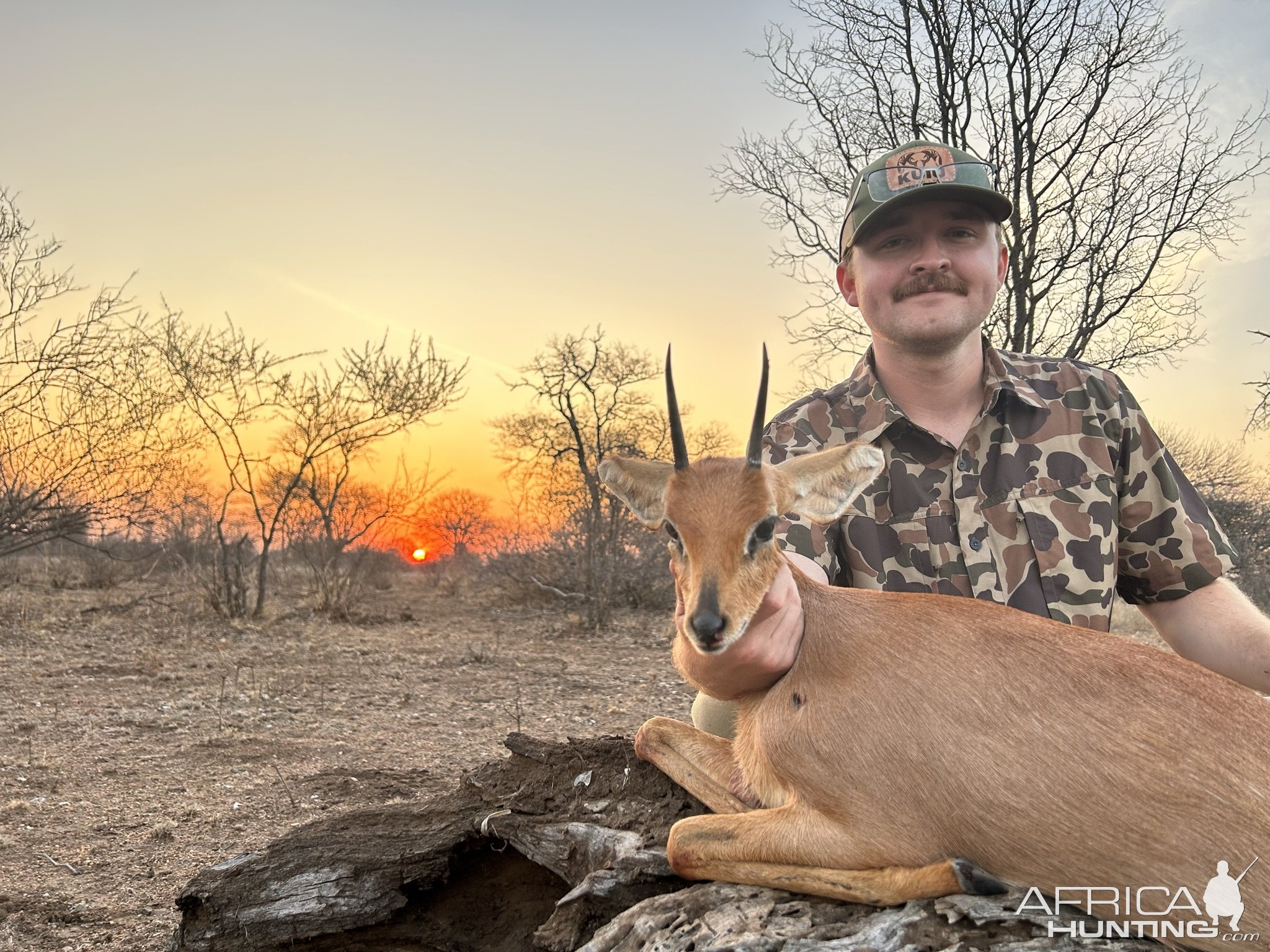 Steenbok Hunting South Africa