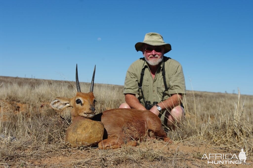 Steenbok Hunting South Africa