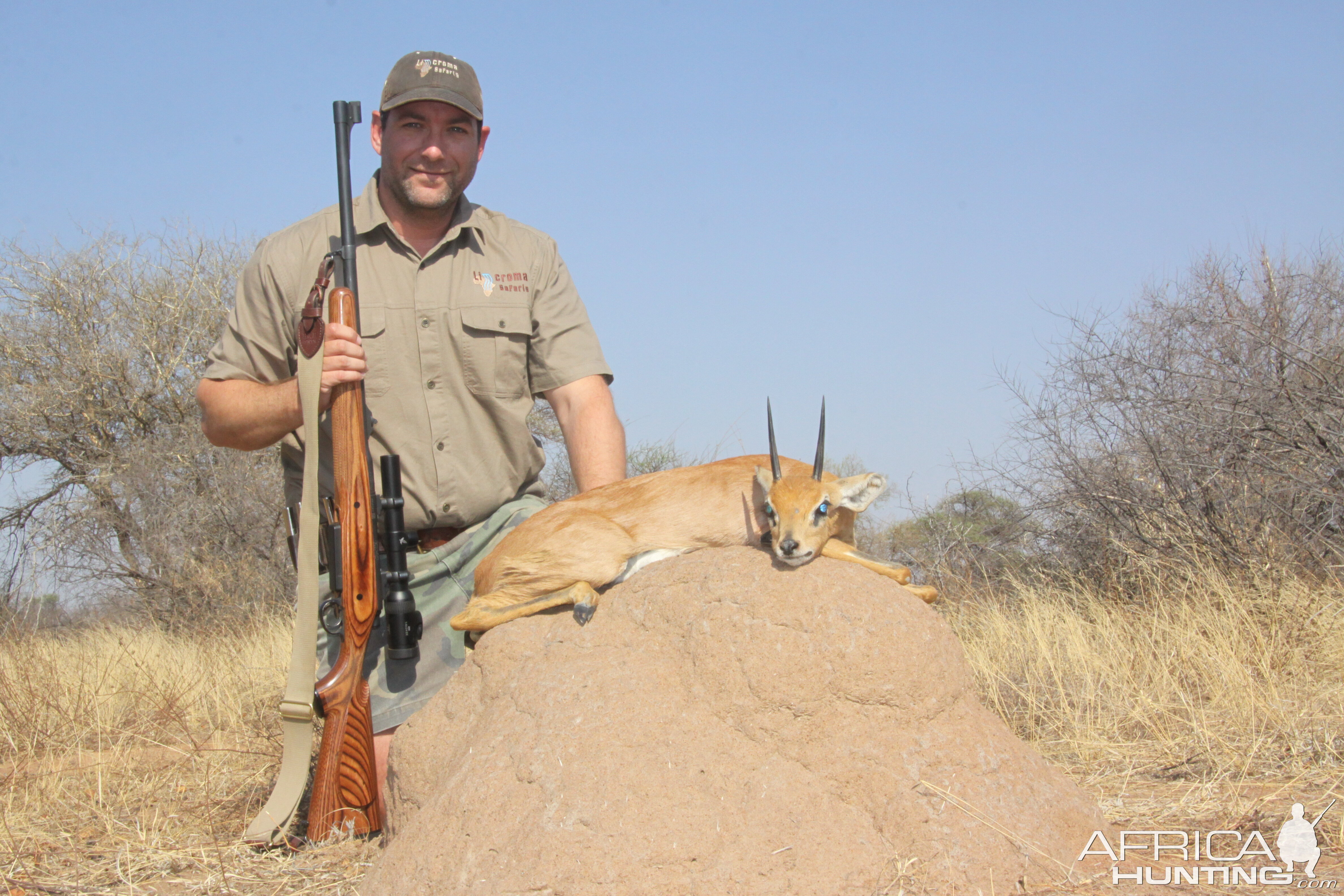 Steenbok Hunting South Africa