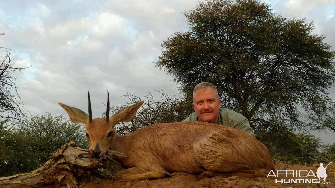 Steenbok Hunting South Africa